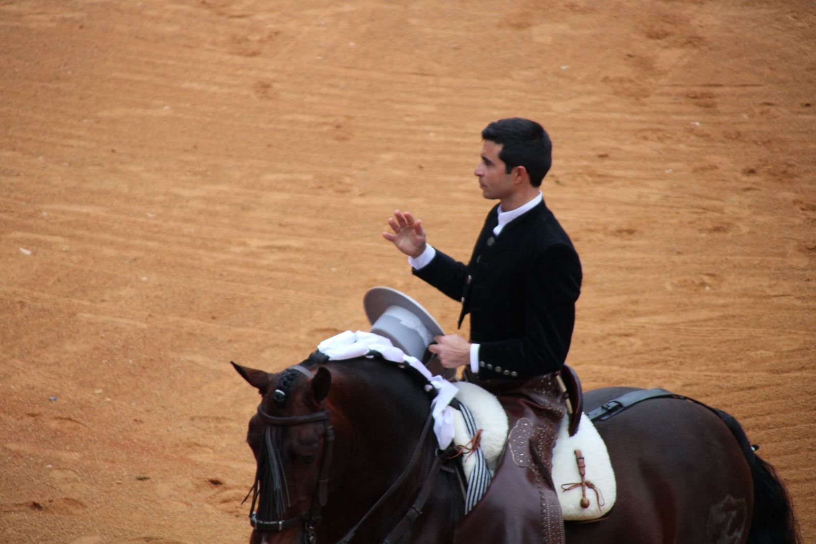 whatsapp-image-2025-03-02-at-16-55-48-2