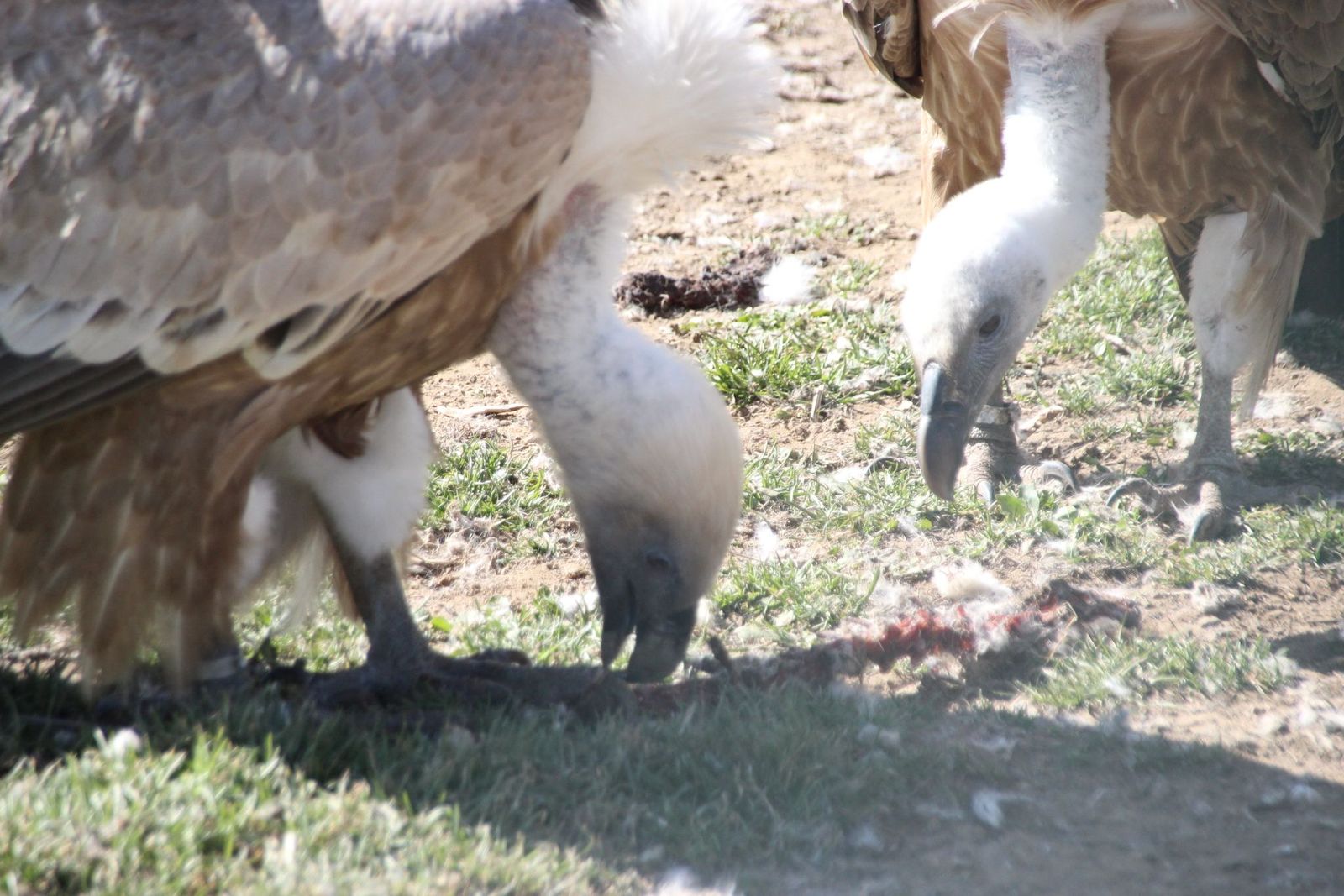 20230304151917-img-1668