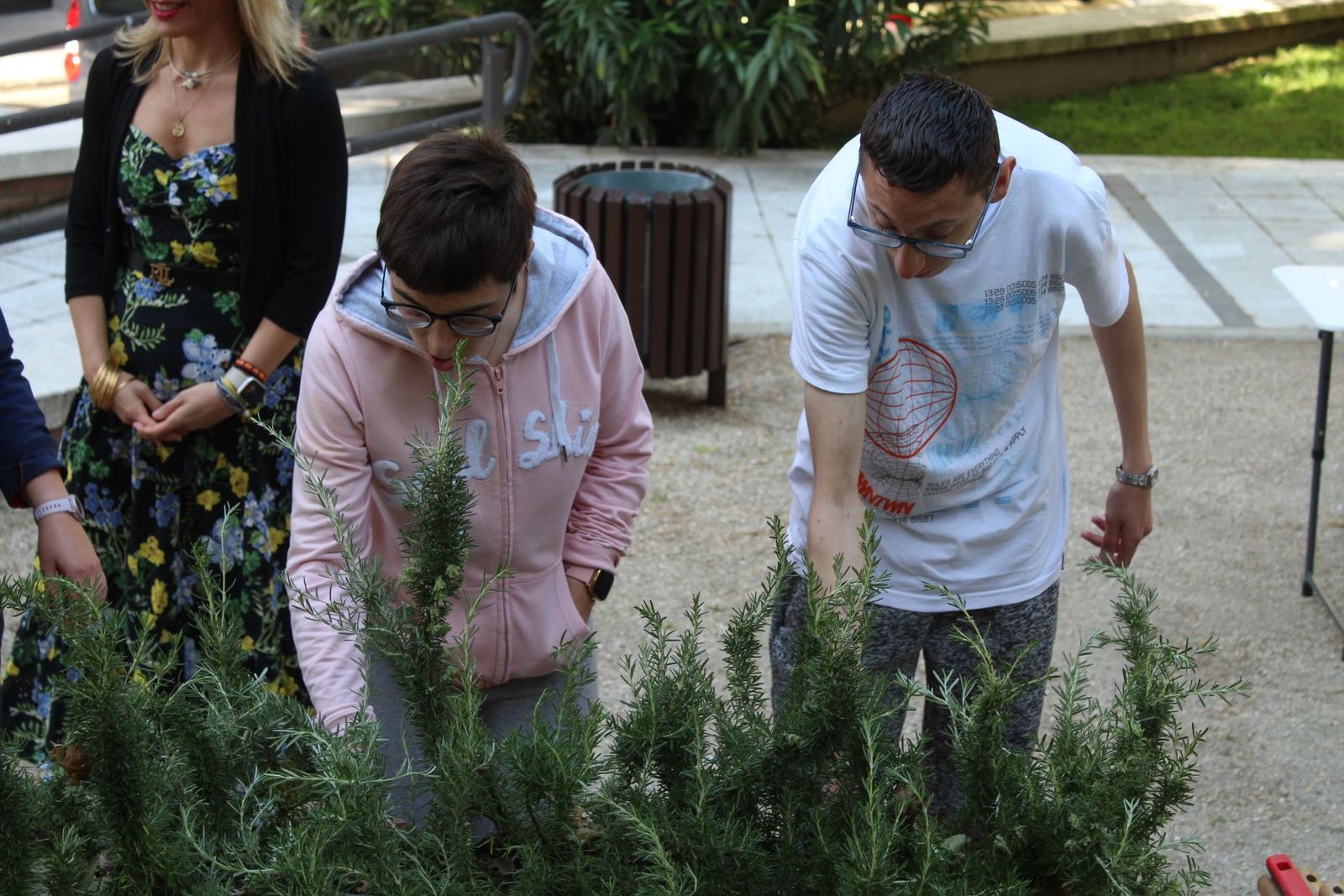 Plantación de "alcorques savios"