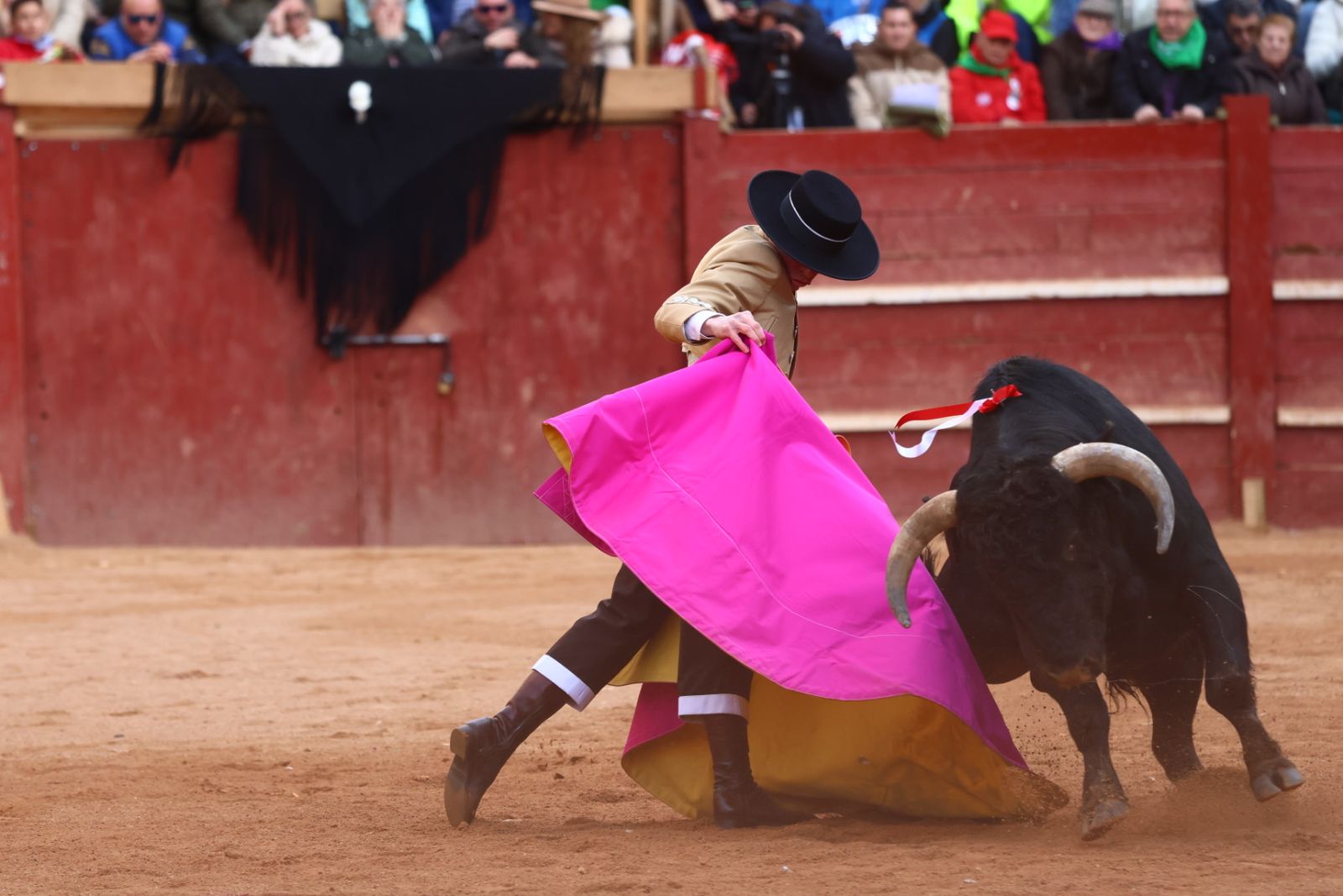 Festival del martes en el Carnaval del Toro 2026