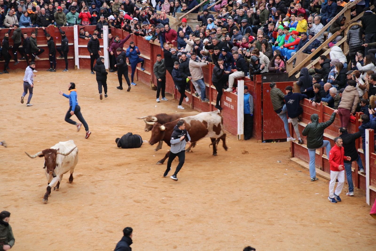 whatsapp-image-2025-03-01-at-13-18-31-1