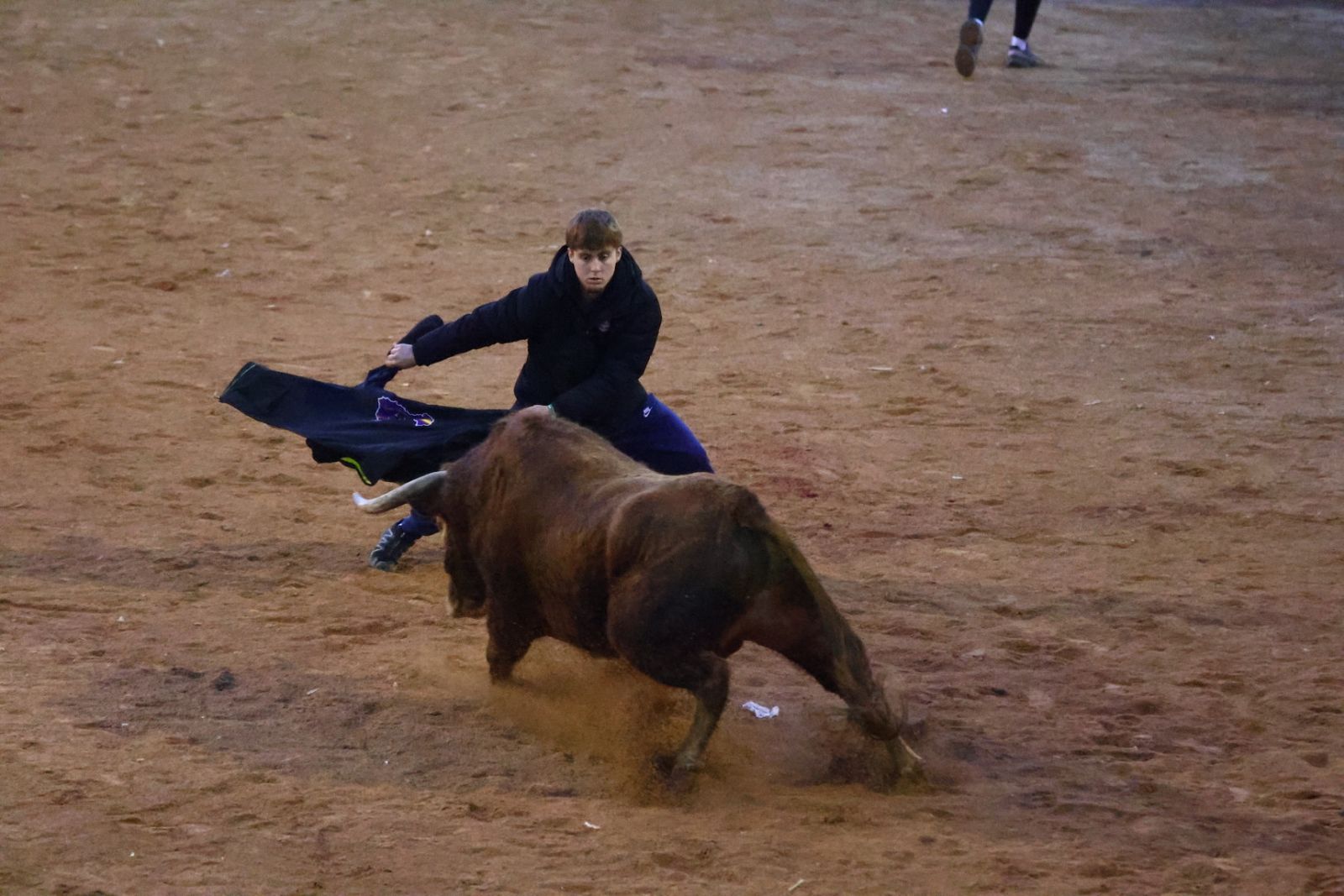 Capea de martes por la tarde en el Carnaval del Toro 2026