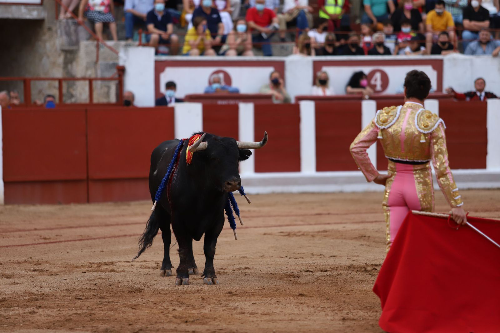 roca-rey-pablo-aguado-y-daniel-luque-en-zamora-61