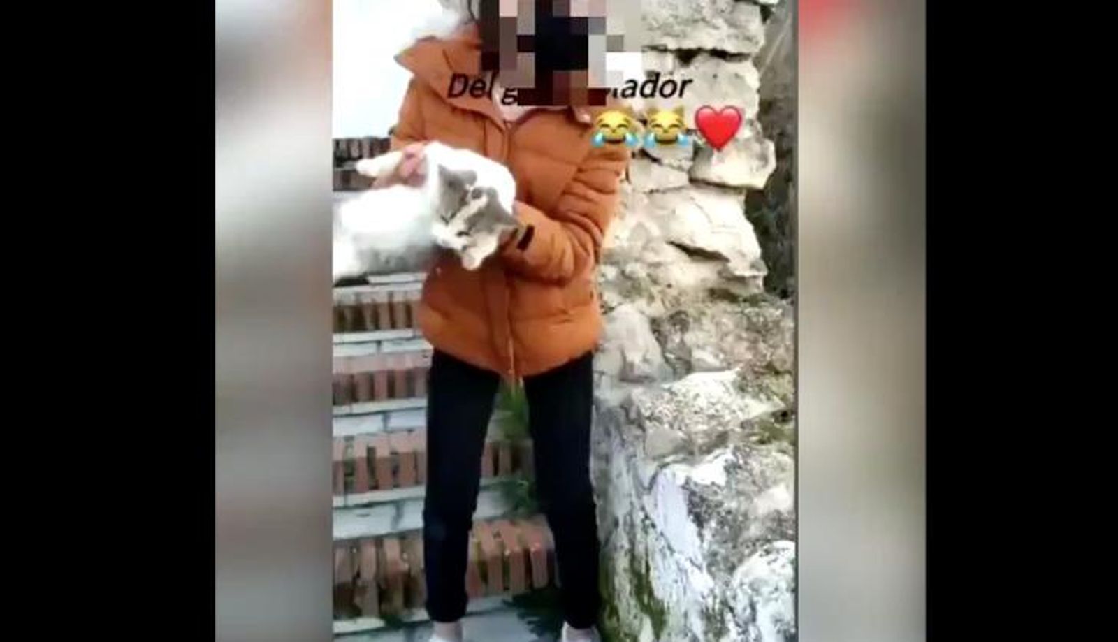 Captura de pantalla 2021 01 08 a las 15 48 46 1 728x418