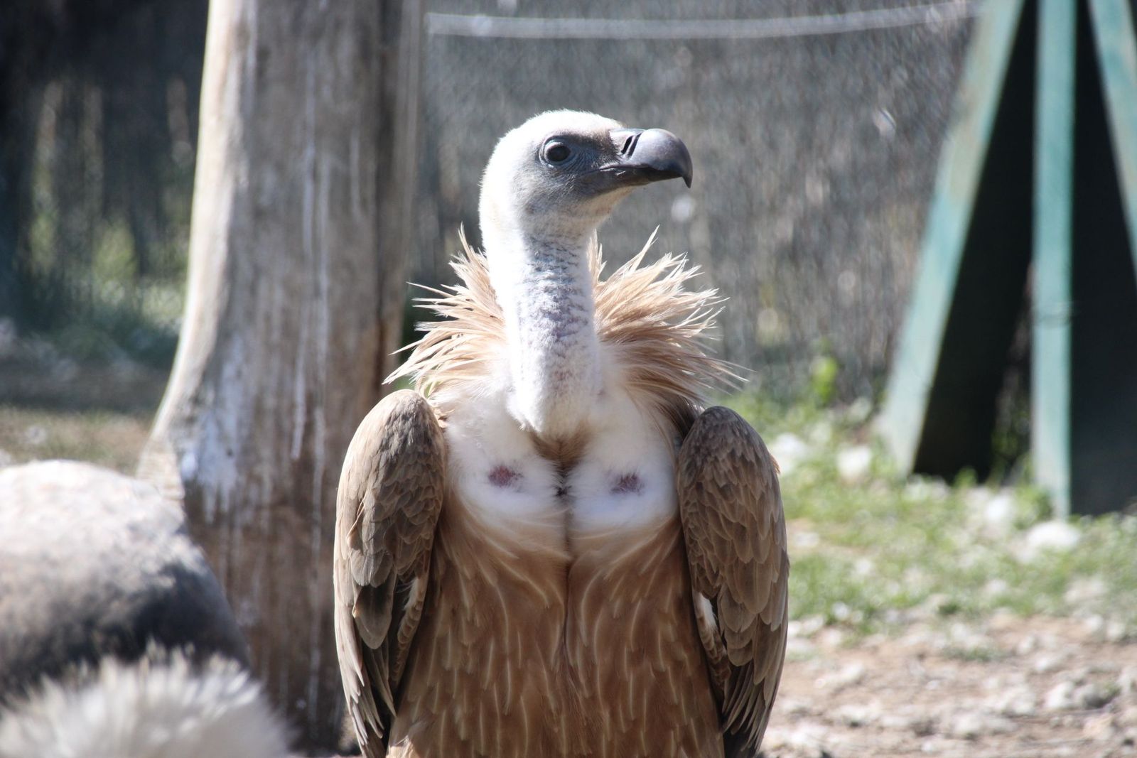 20230304151951-img-1672