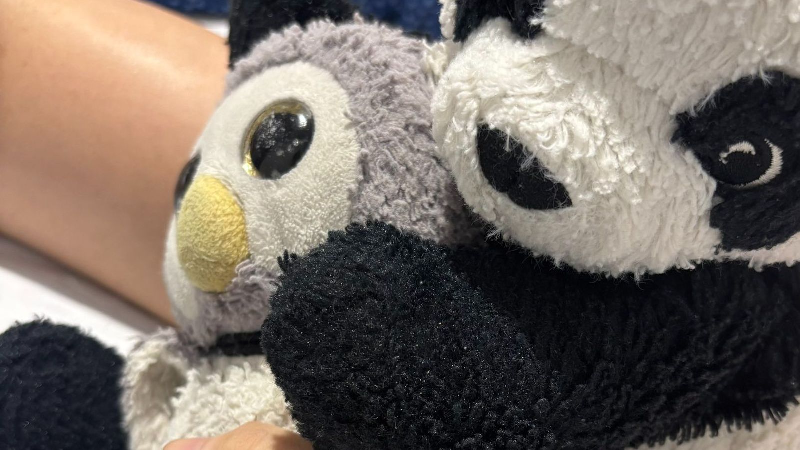 Peluches de María Caamaño