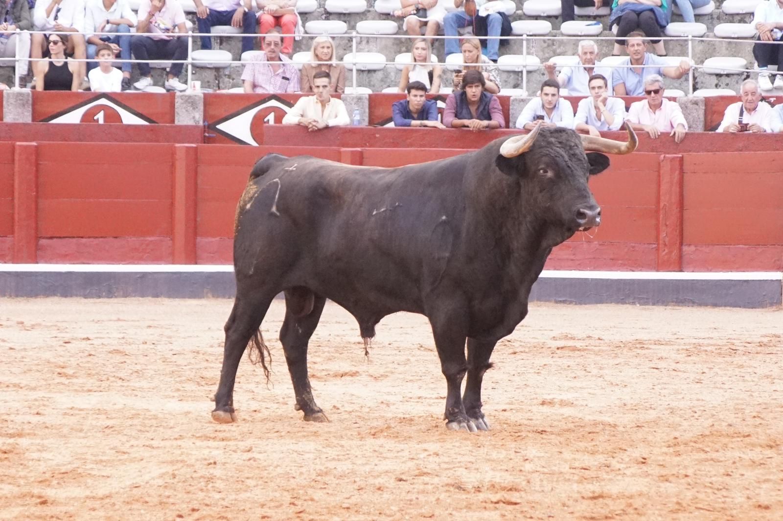 whatsapp-image-2023-09-08-at-19-29-35-1