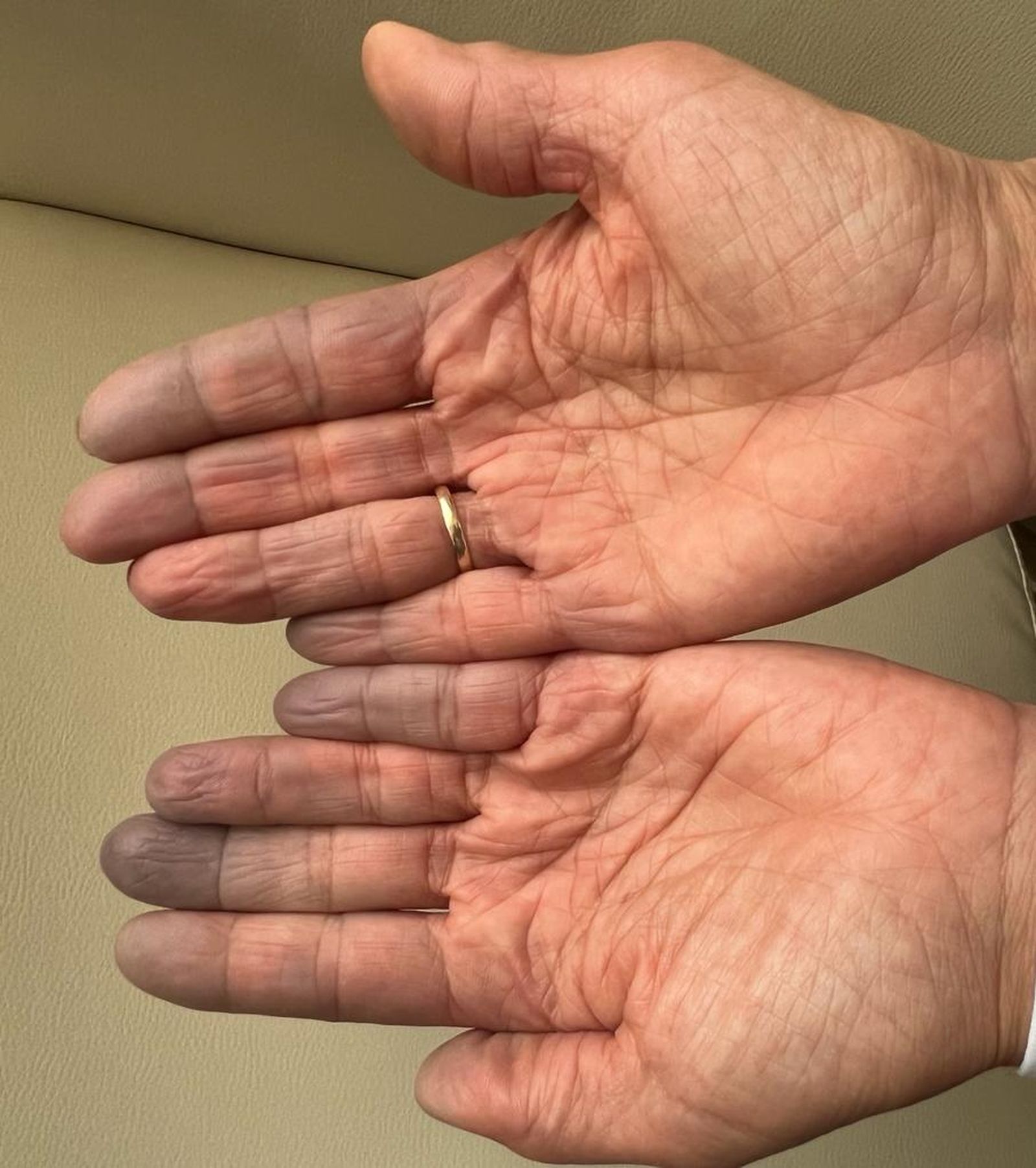 WhatsApp Image 2023 02 12 at 21.06.32 (1)