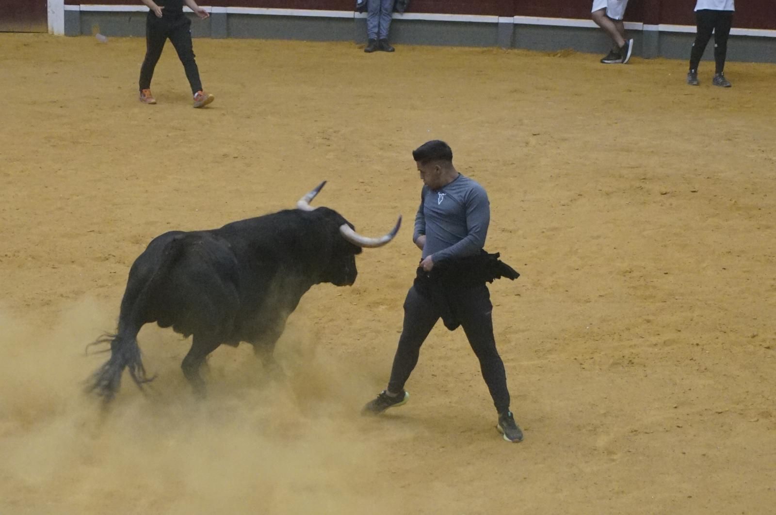 Toro del cajón y capea en Alba de Tormes
