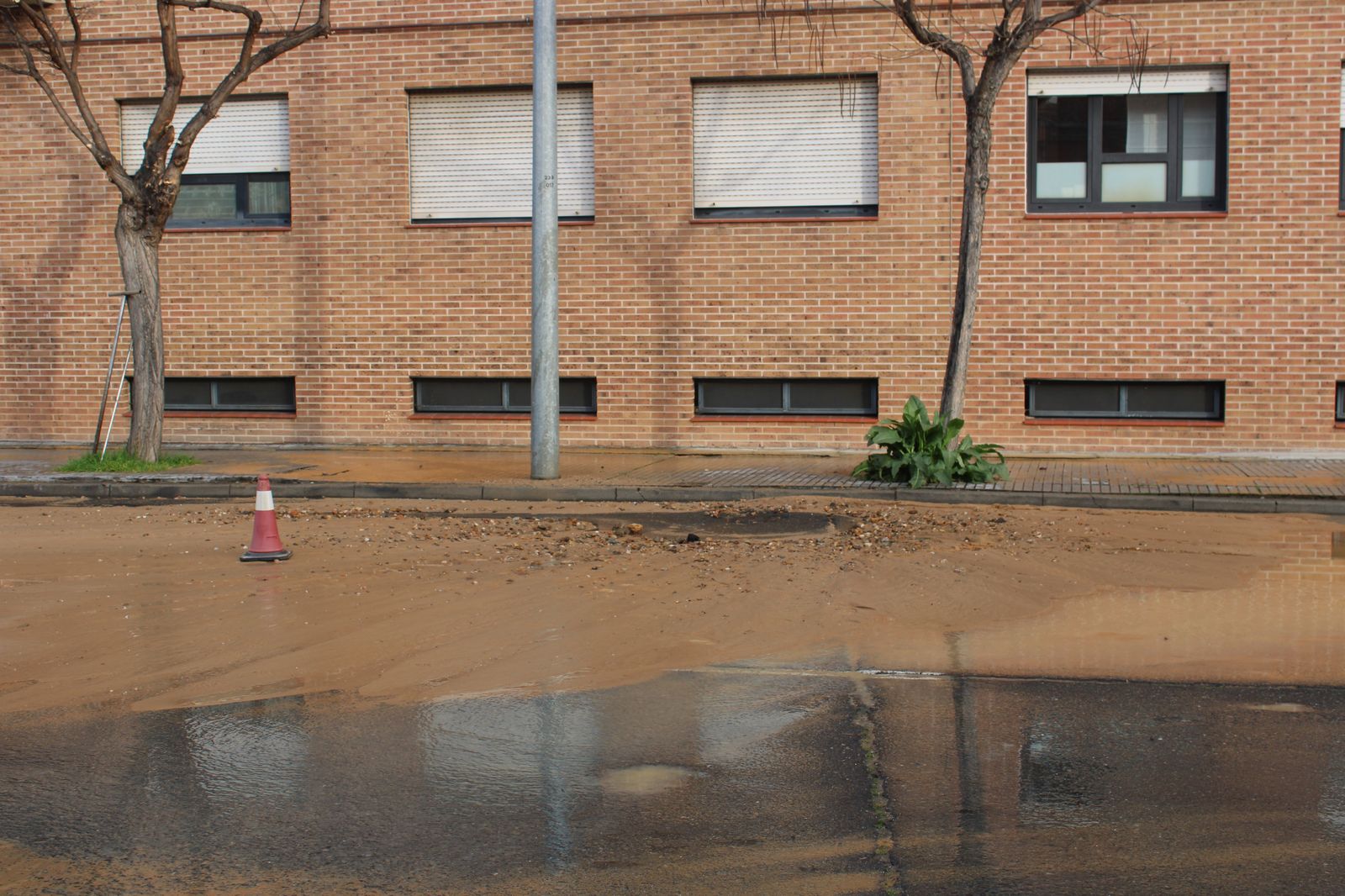 Reventón de agua en el paseo César Real de la Riva. Fotos S24H (1)