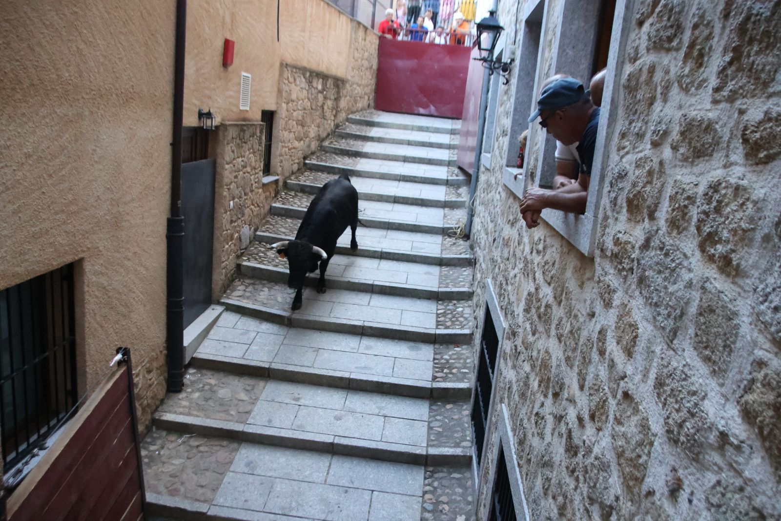 San Esteban de la Sierra, festival taurino sin picadores