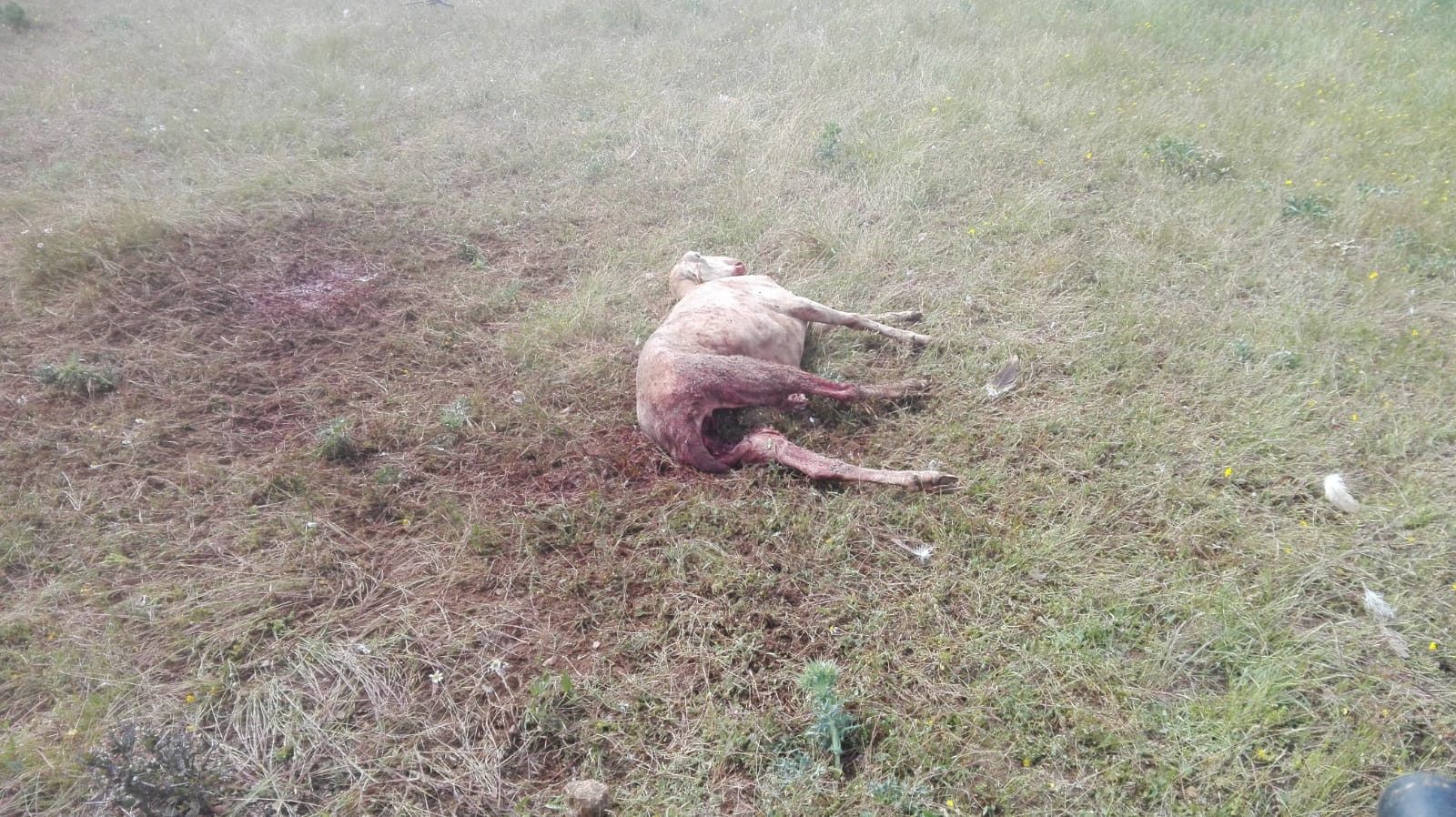 WhatsApp Image 2018 06 07 at 12.27.08 (1)