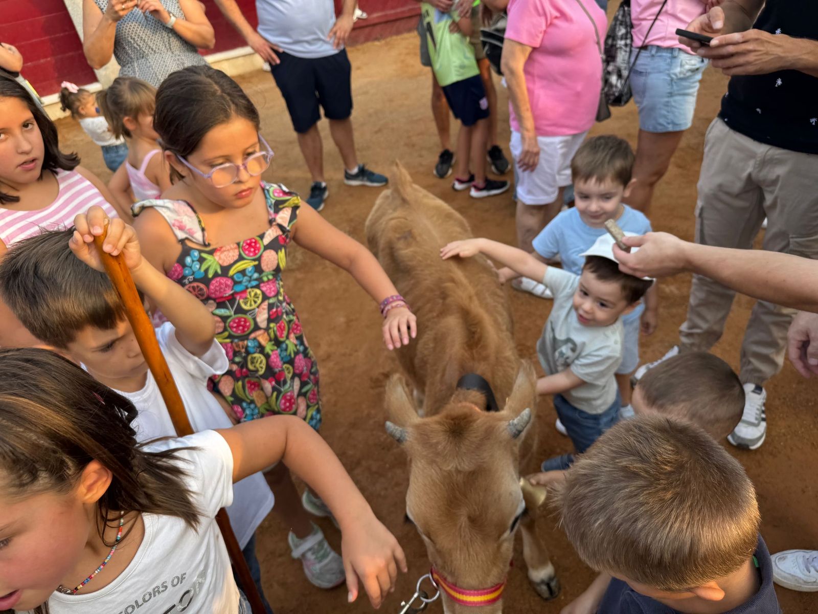 Encierro infantil de Mini Bueyes en Guijuelo durante sus fiestas 2025