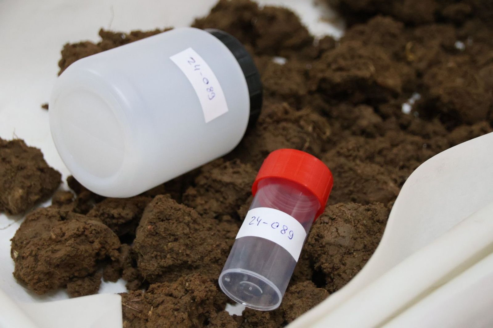 IRNASA, Equipo del servicio de análisis de fertilidad de suelos agrícolas