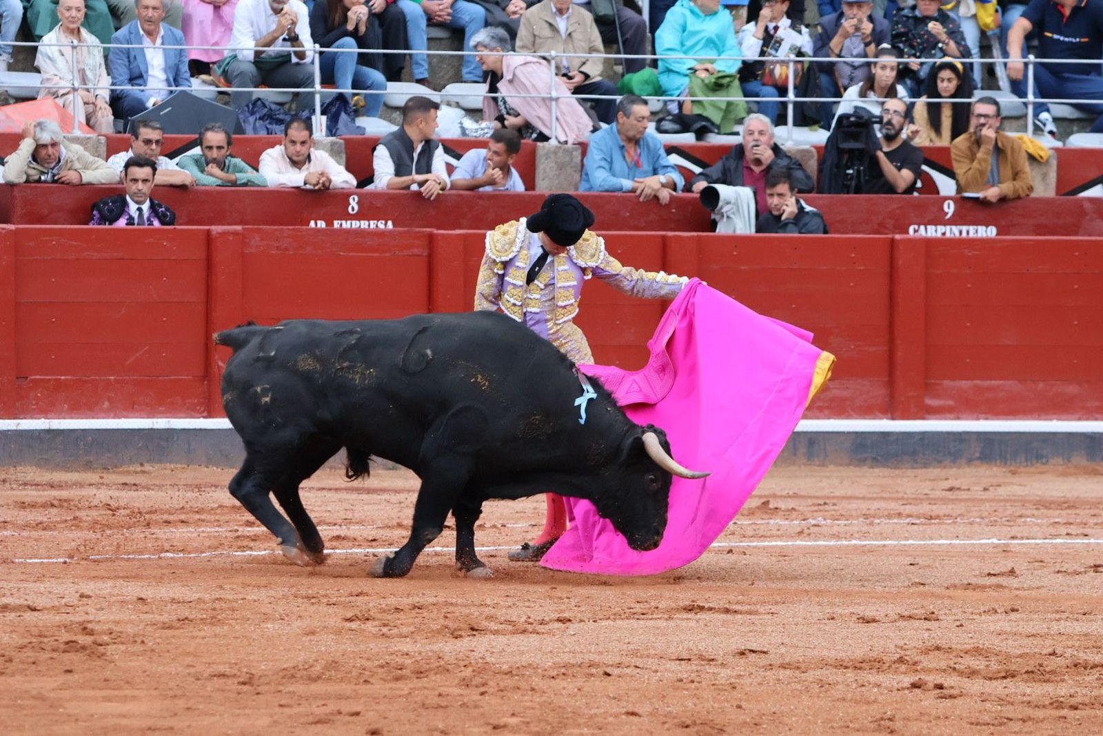 20230915182026-img-4080