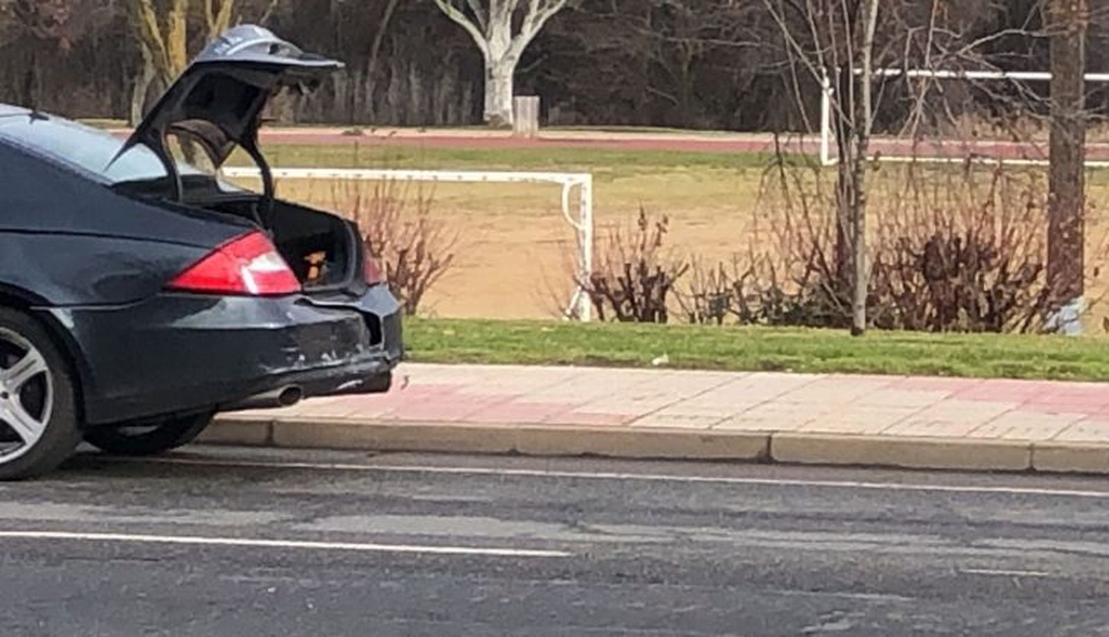 WhatsApp Image 2024 01 09 at 11.01.11