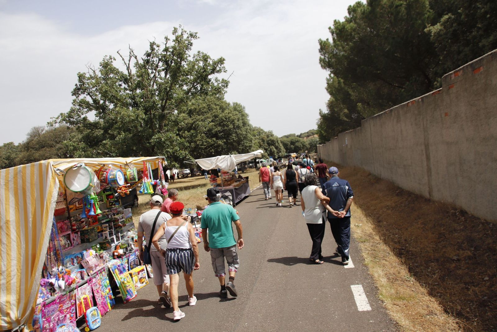 20220618113158-mg-4867