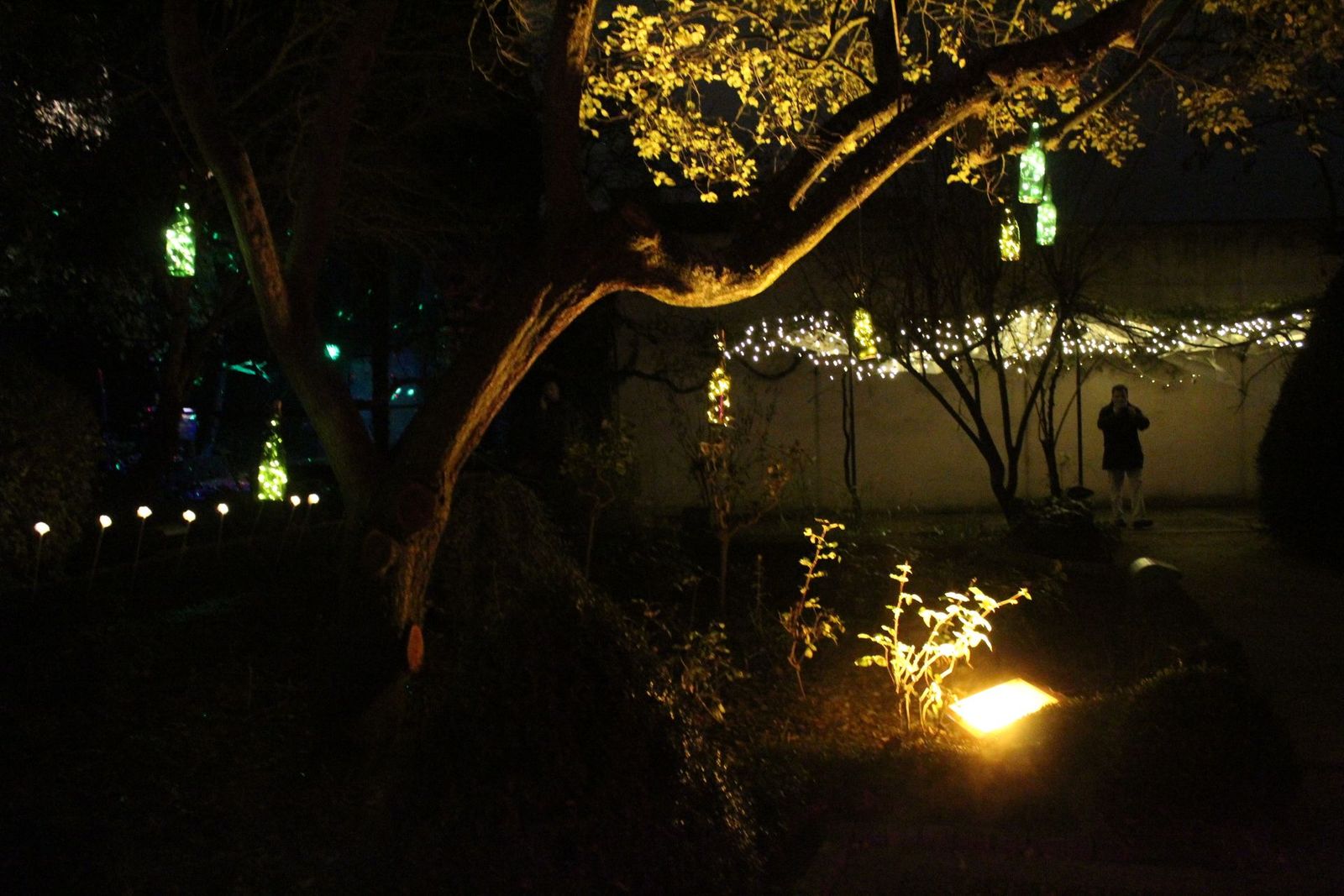 20231204212809-img-6415