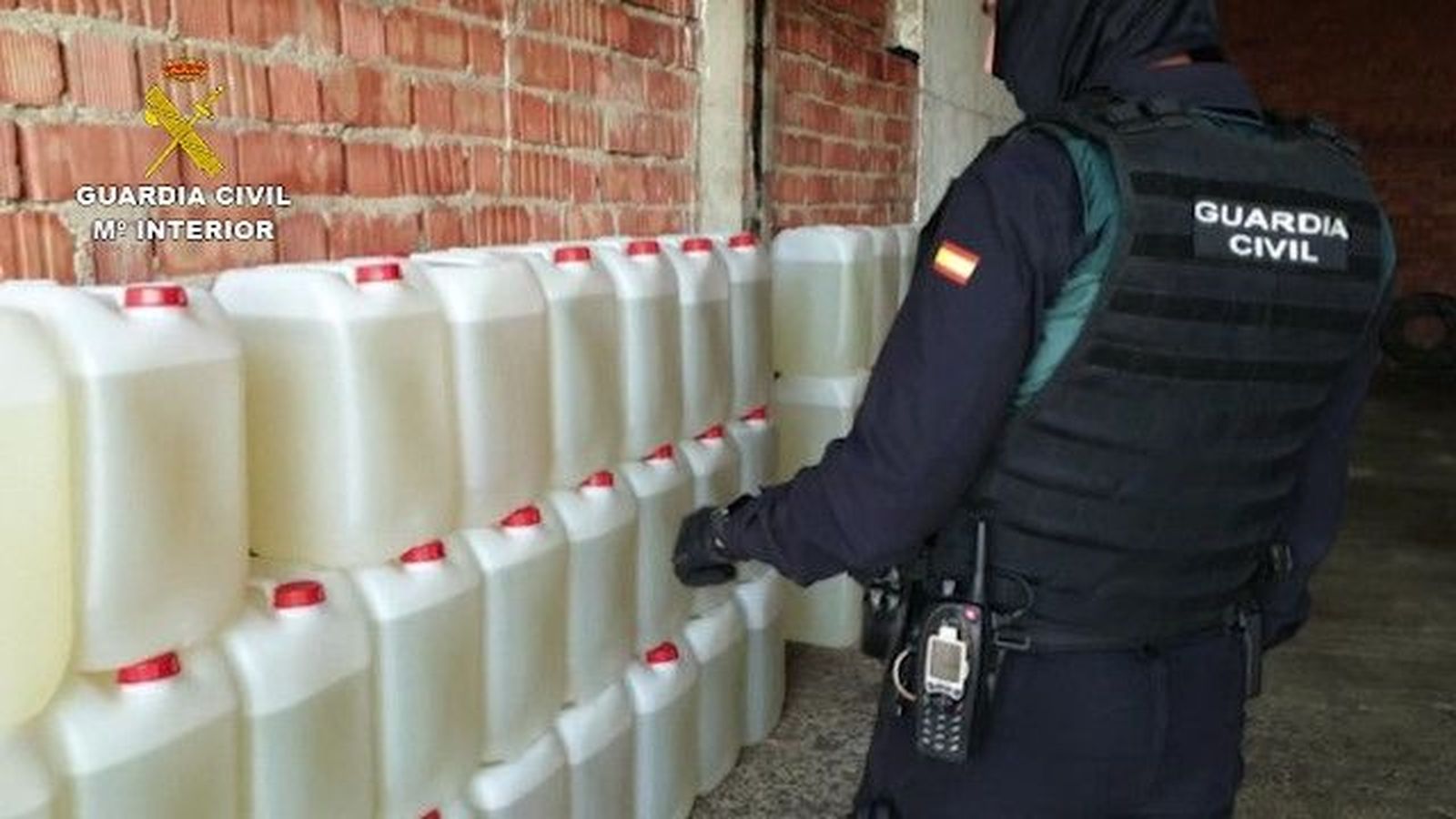 2020 05 01 op doberman 02