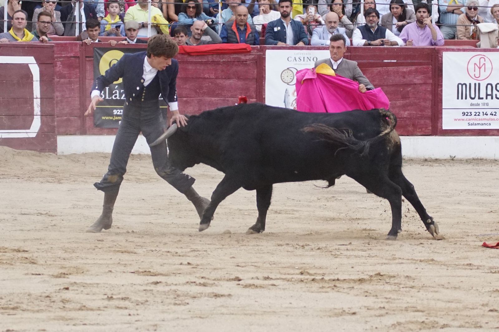 whatsapp-image-2024-10-05-at-19-56-33-1