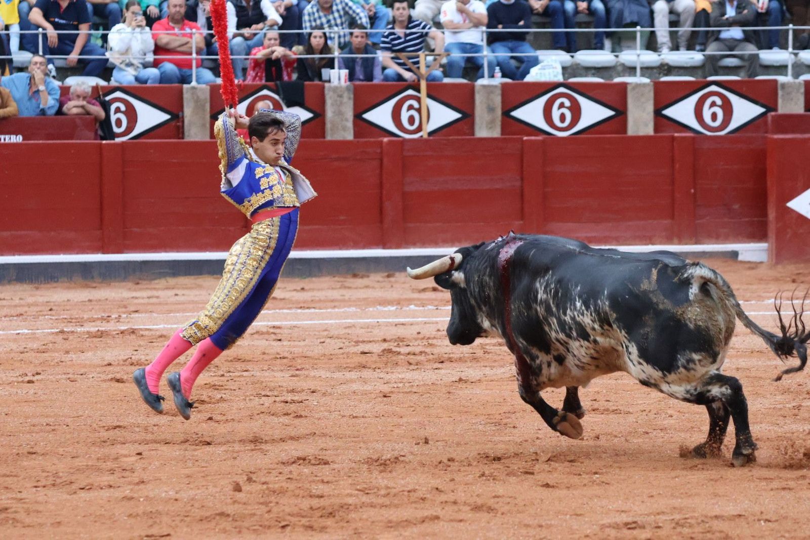 20230915185052-img-4203