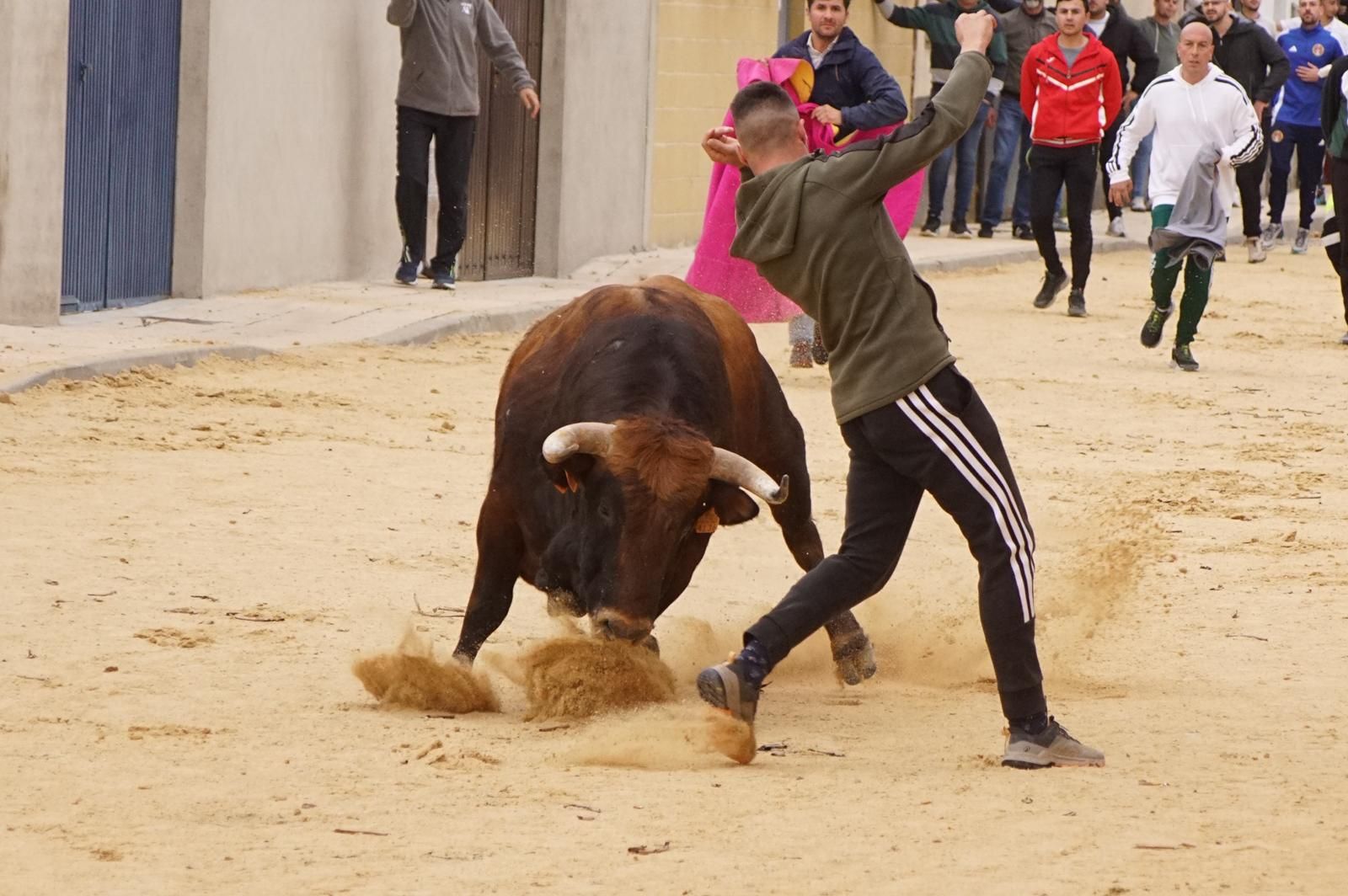 Villoria, toro del Voto