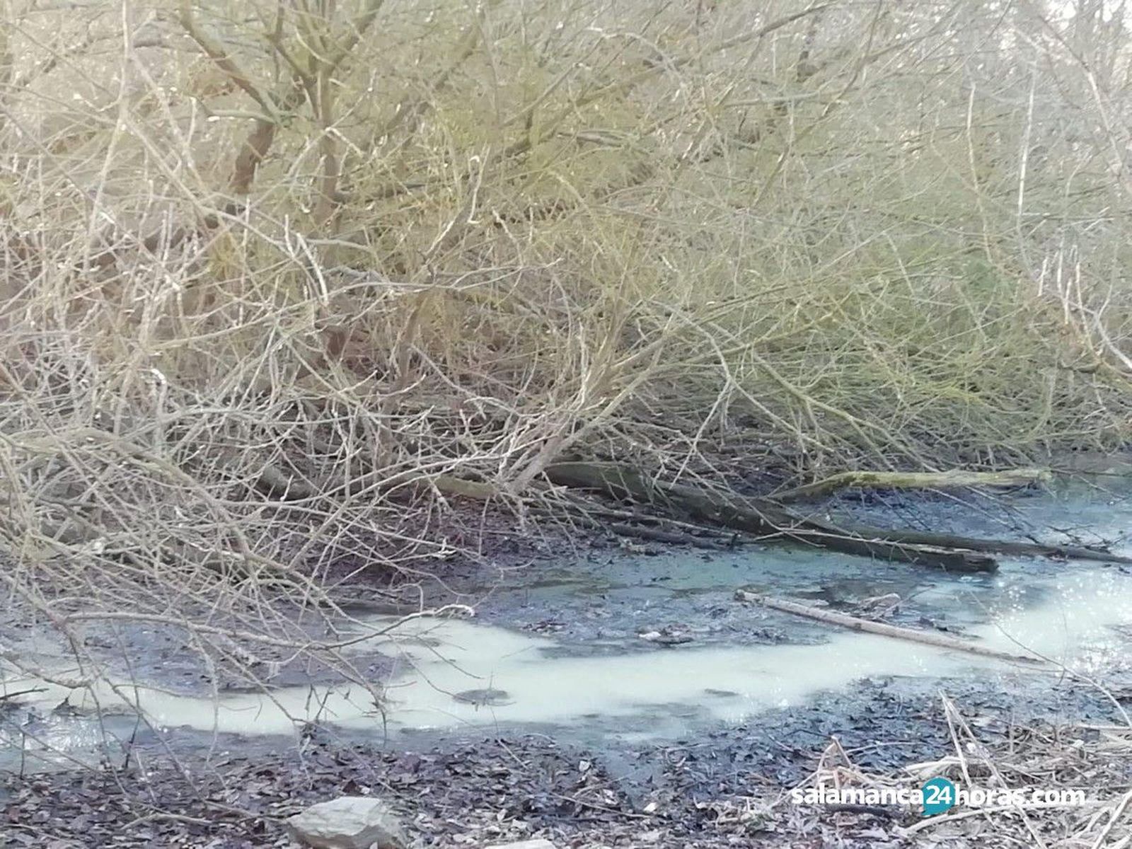 Vertido en Alba de Tormes (4)