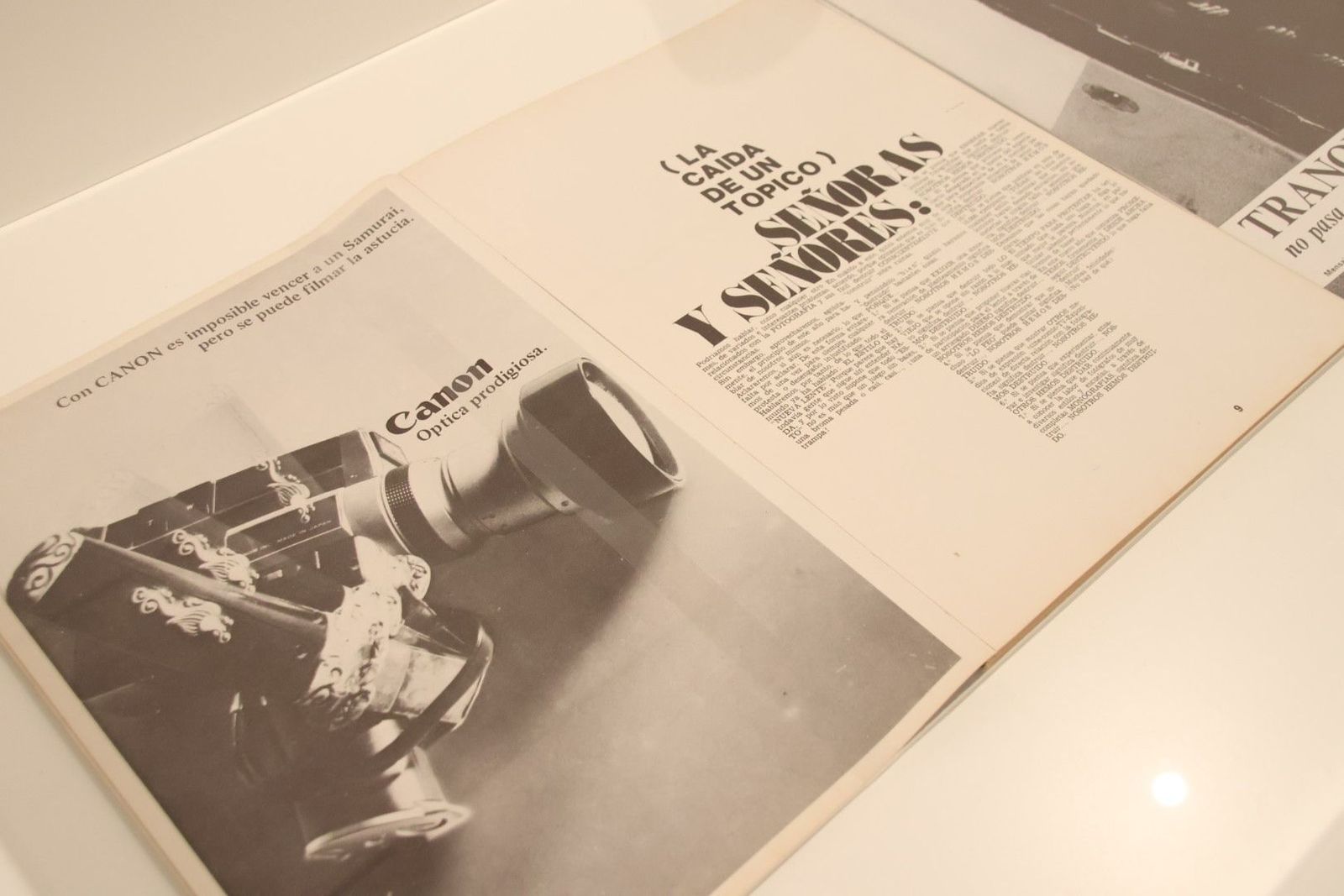 20230921095951-img-7225