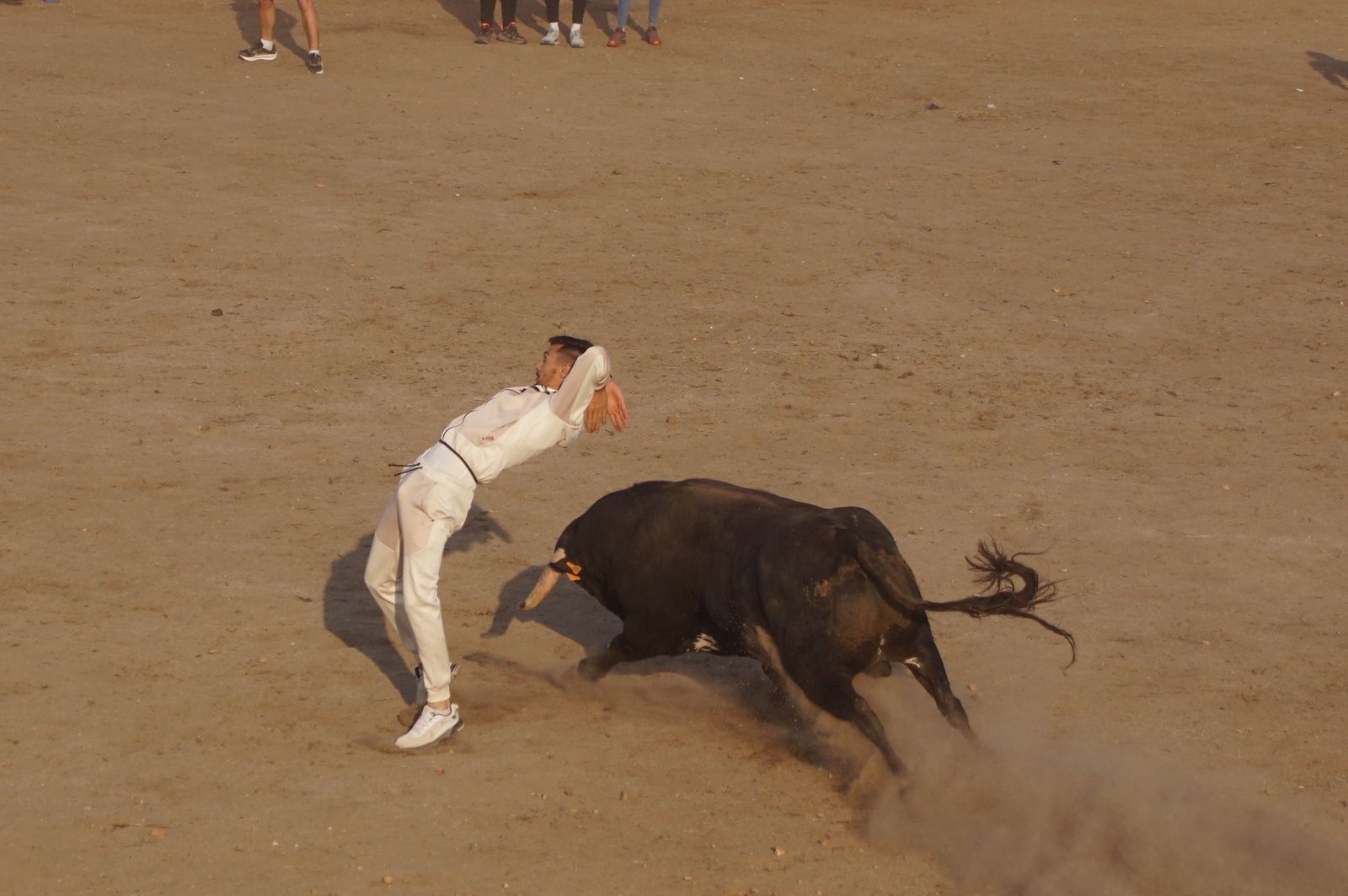 Carreras, risas y tradición: así se ha vivido El Toro en Santa Marta