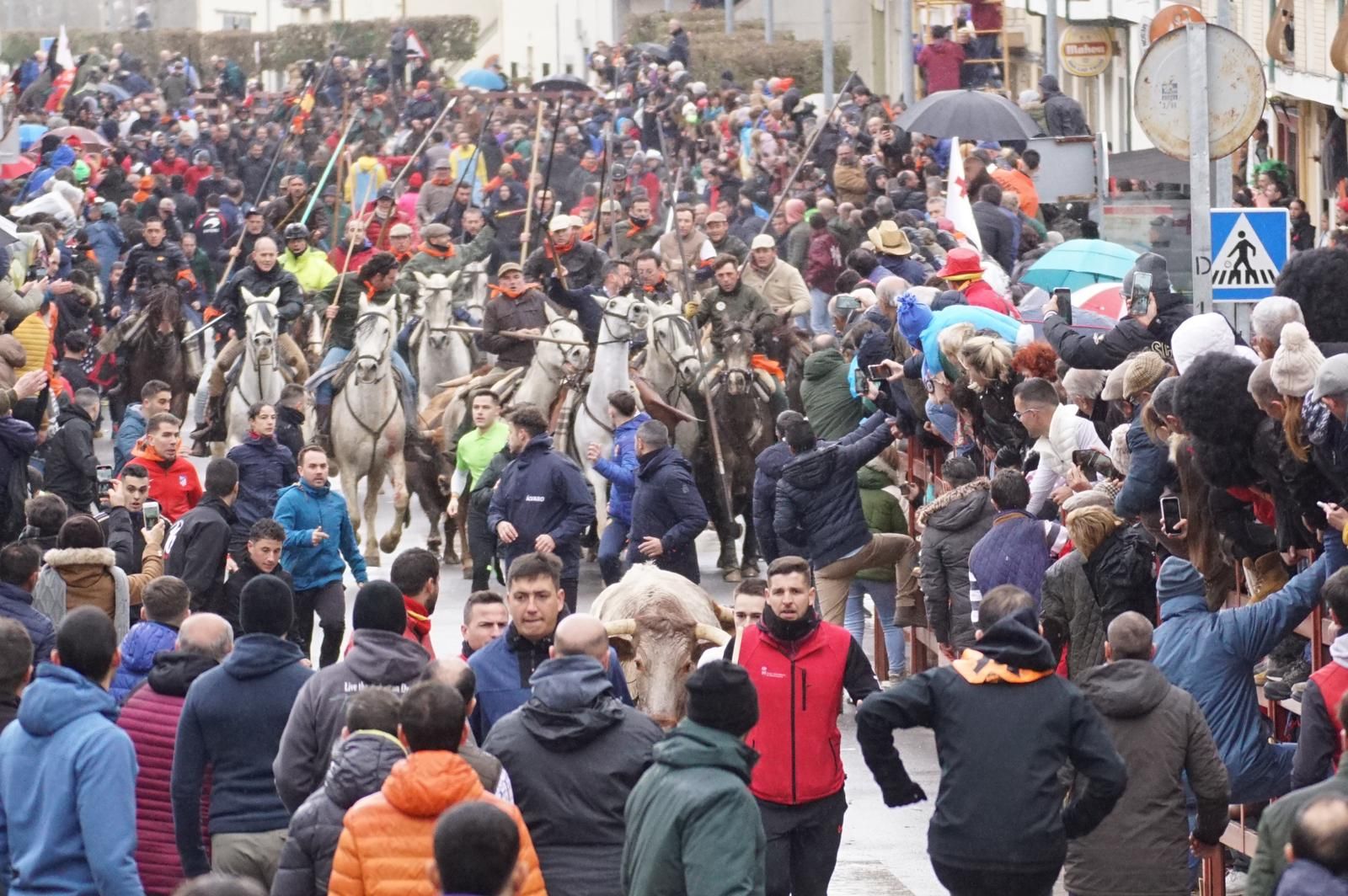 whatsapp-image-2024-02-11-at-11-48-48