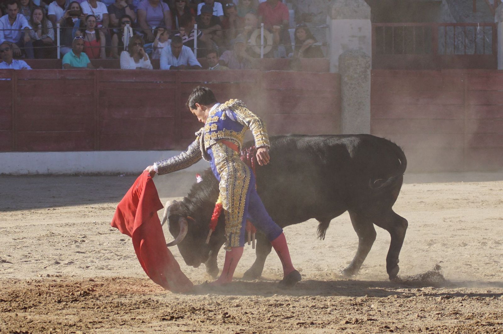 whatsapp-image-2024-06-02-at-22-12-11-1