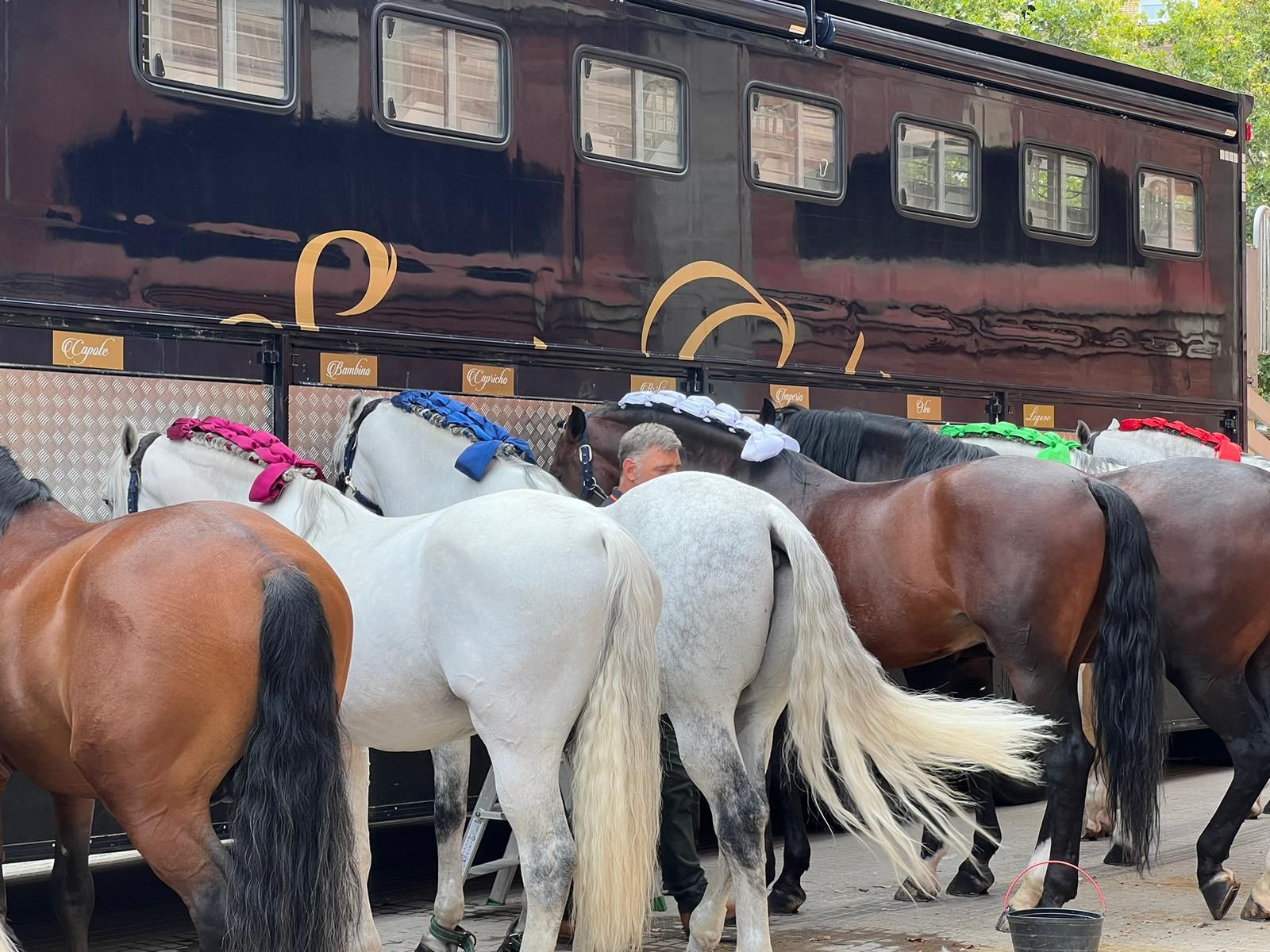 whatsapp-image-2023-09-09-at-12-44-14-1