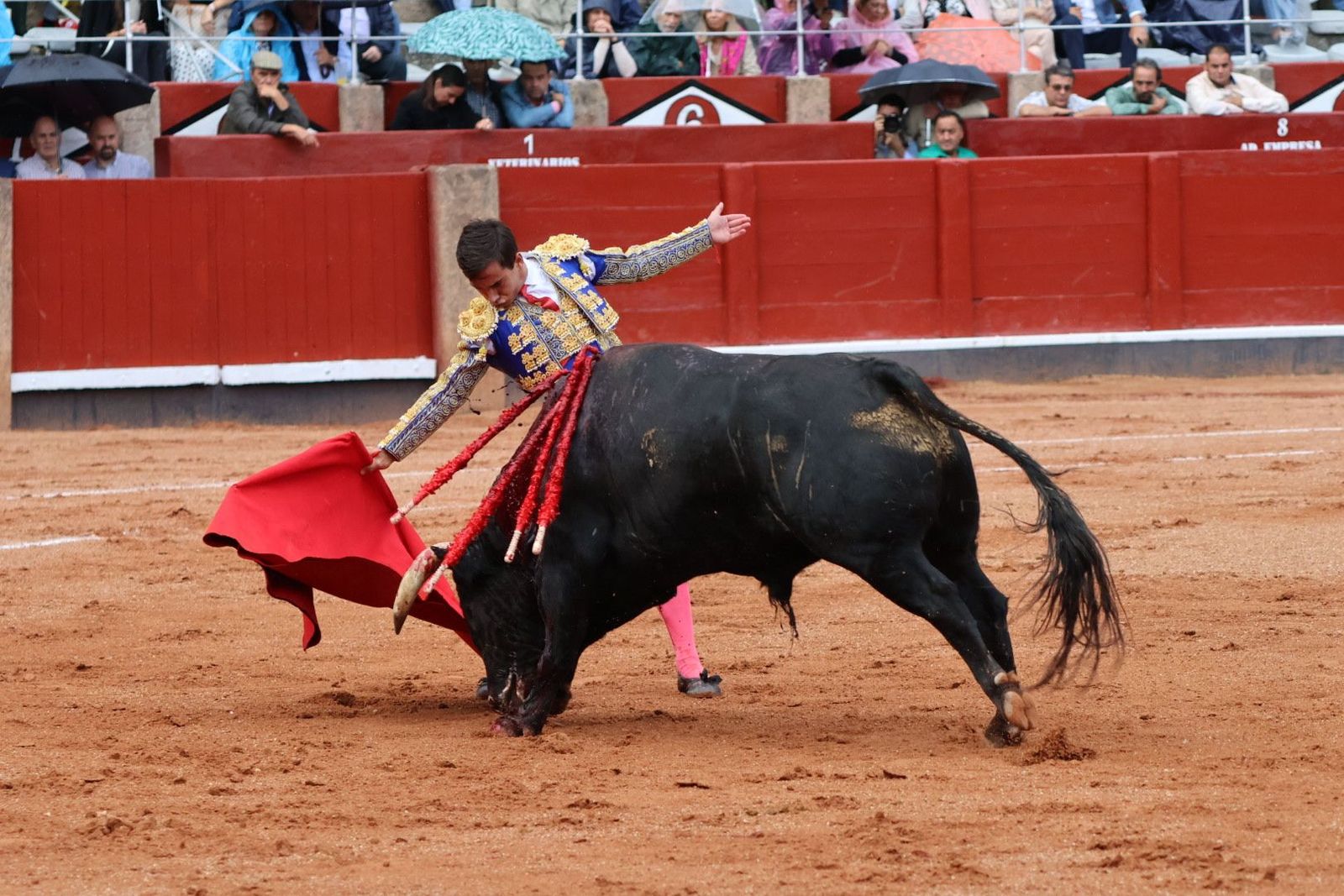 20230915174426-img-3977