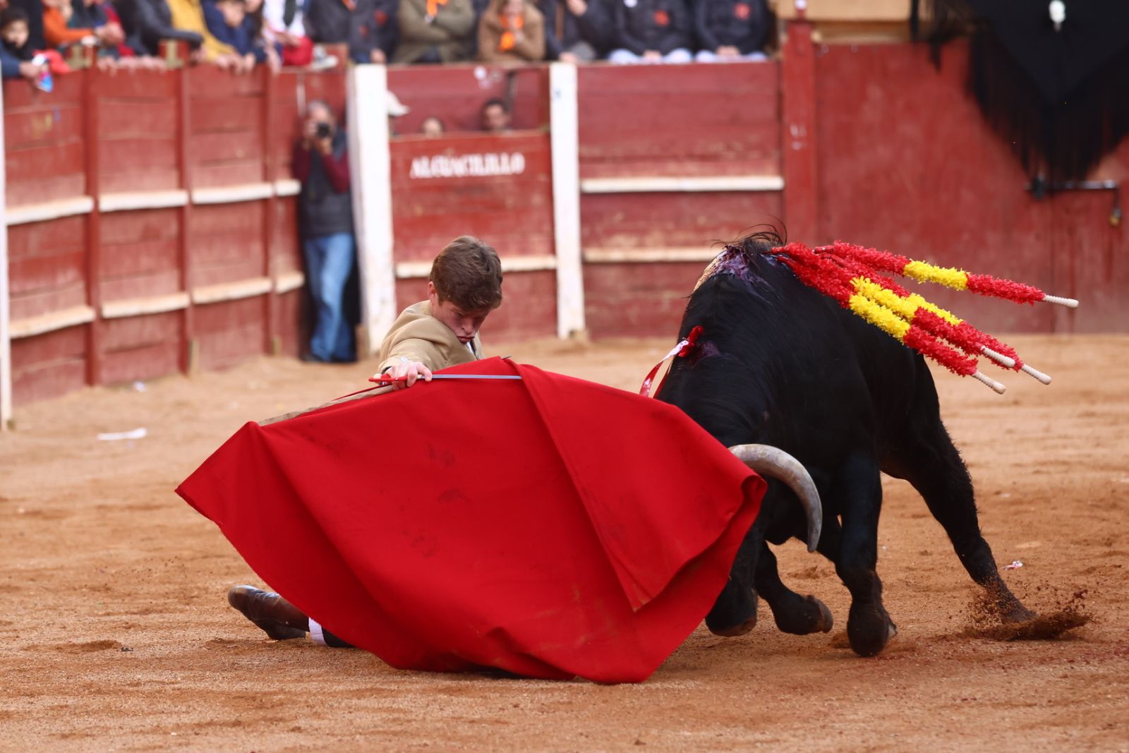 Festival del martes en el Carnaval del Toro 2026