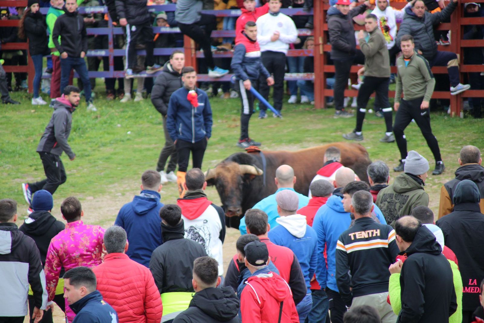 whatsapp-image-2025-03-01-at-11-56-32-1