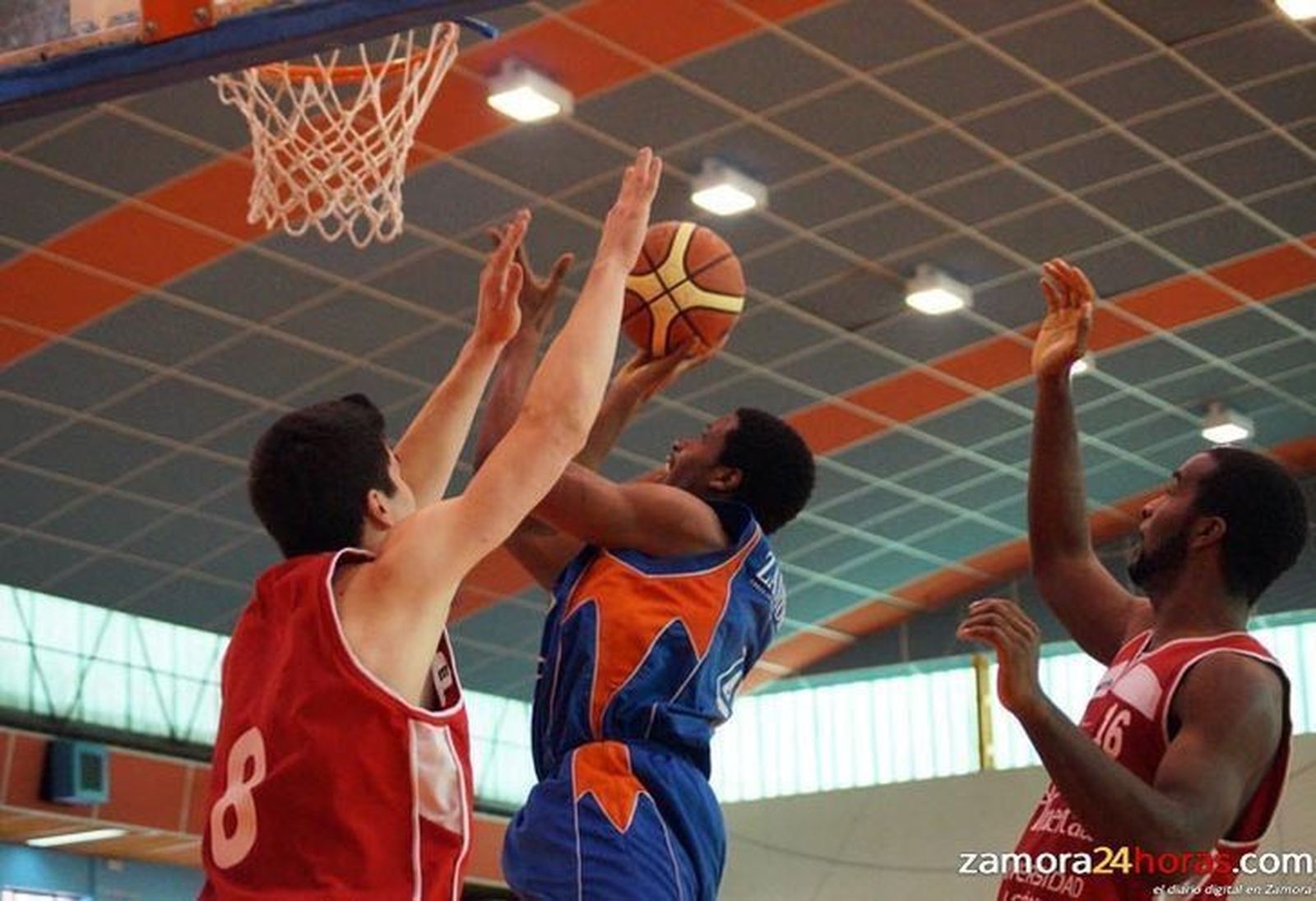 El INEC Queso Zamorano se exhibe ante ULE Puertalia (102-59)