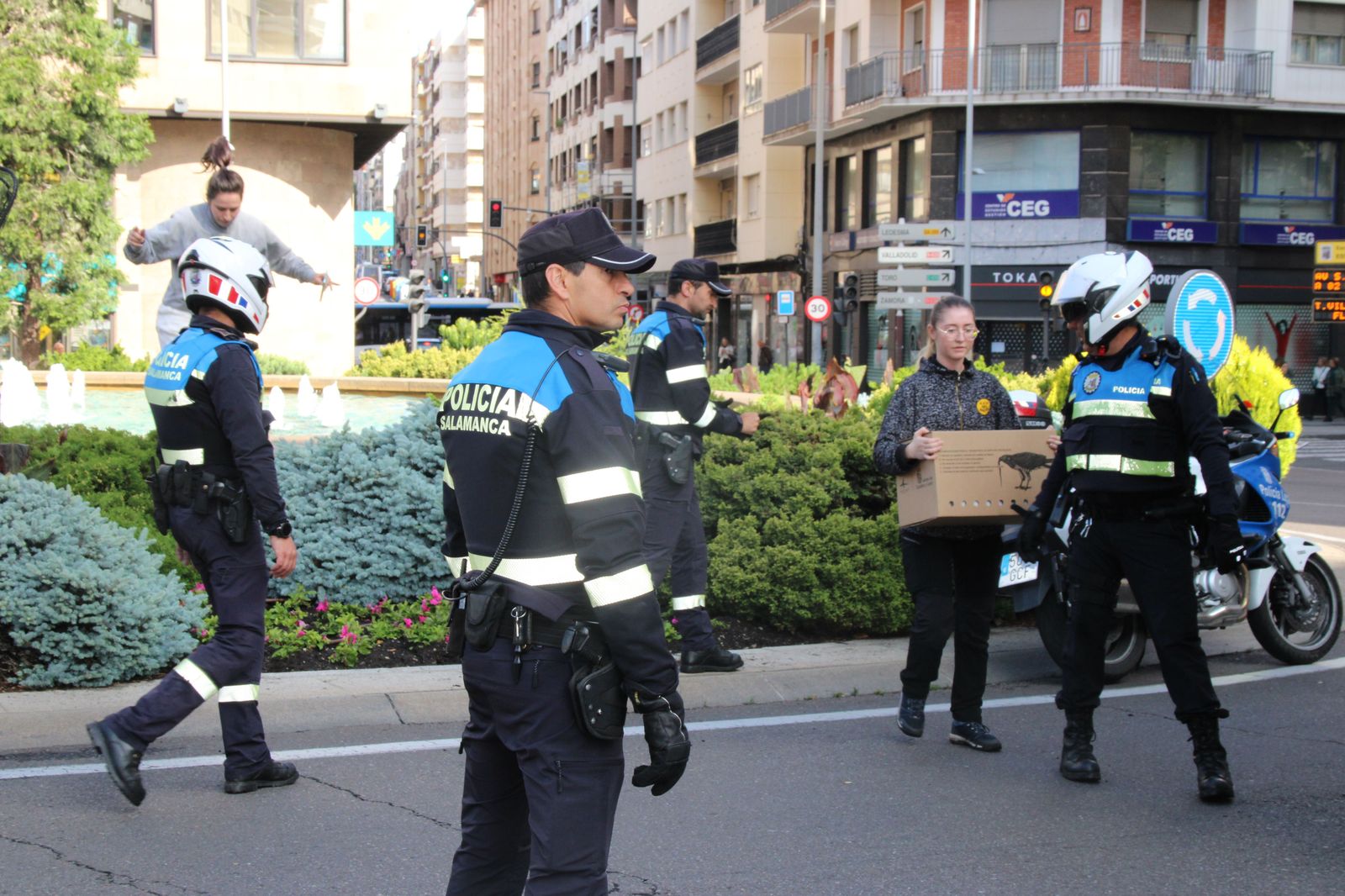 Agentes de la Policía Local y técnicos de 'Las Dunas' dan captura a seis crías de patos en la fuente de Puerta Zamora. Fotos S24H