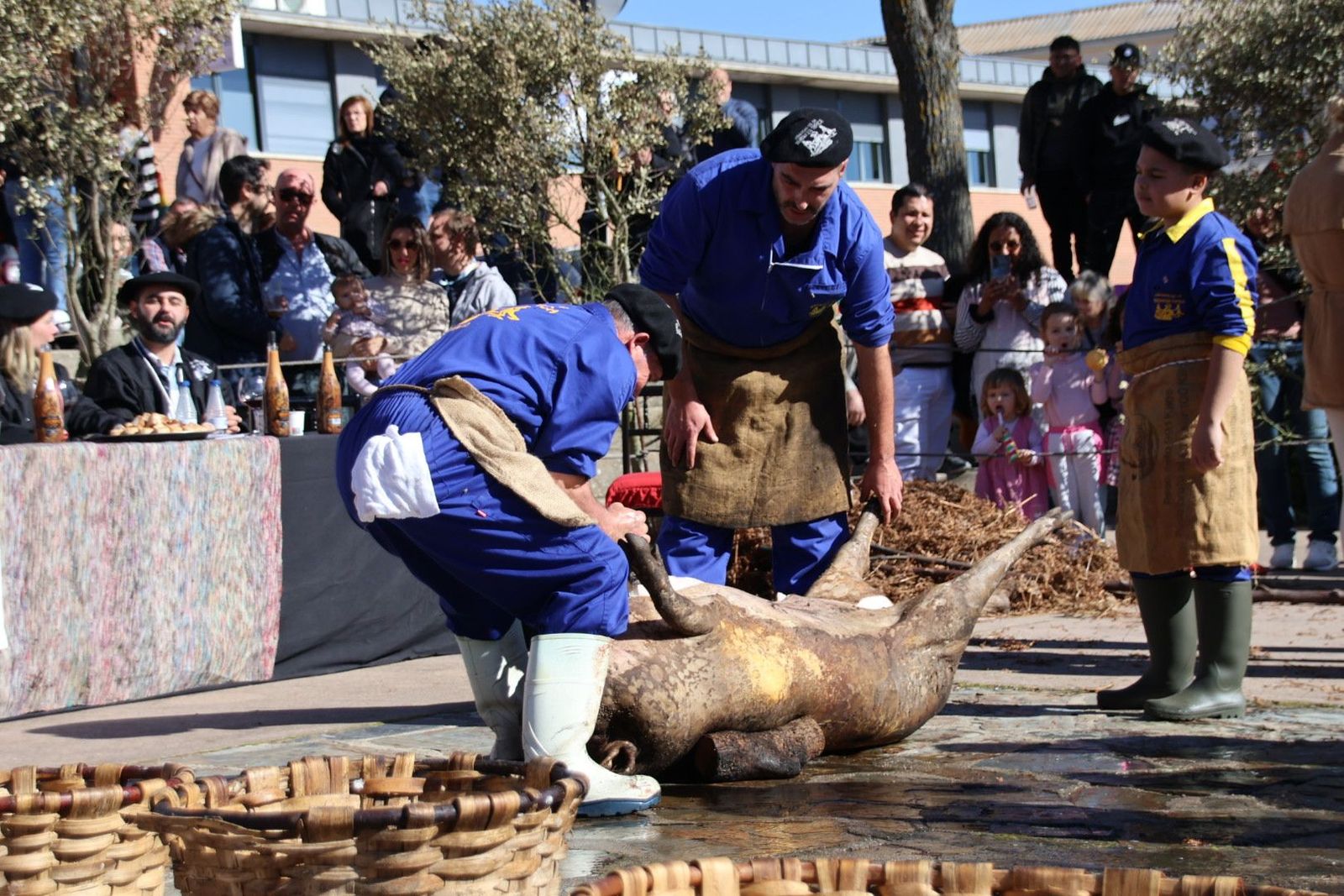 20240203133142-img-4501