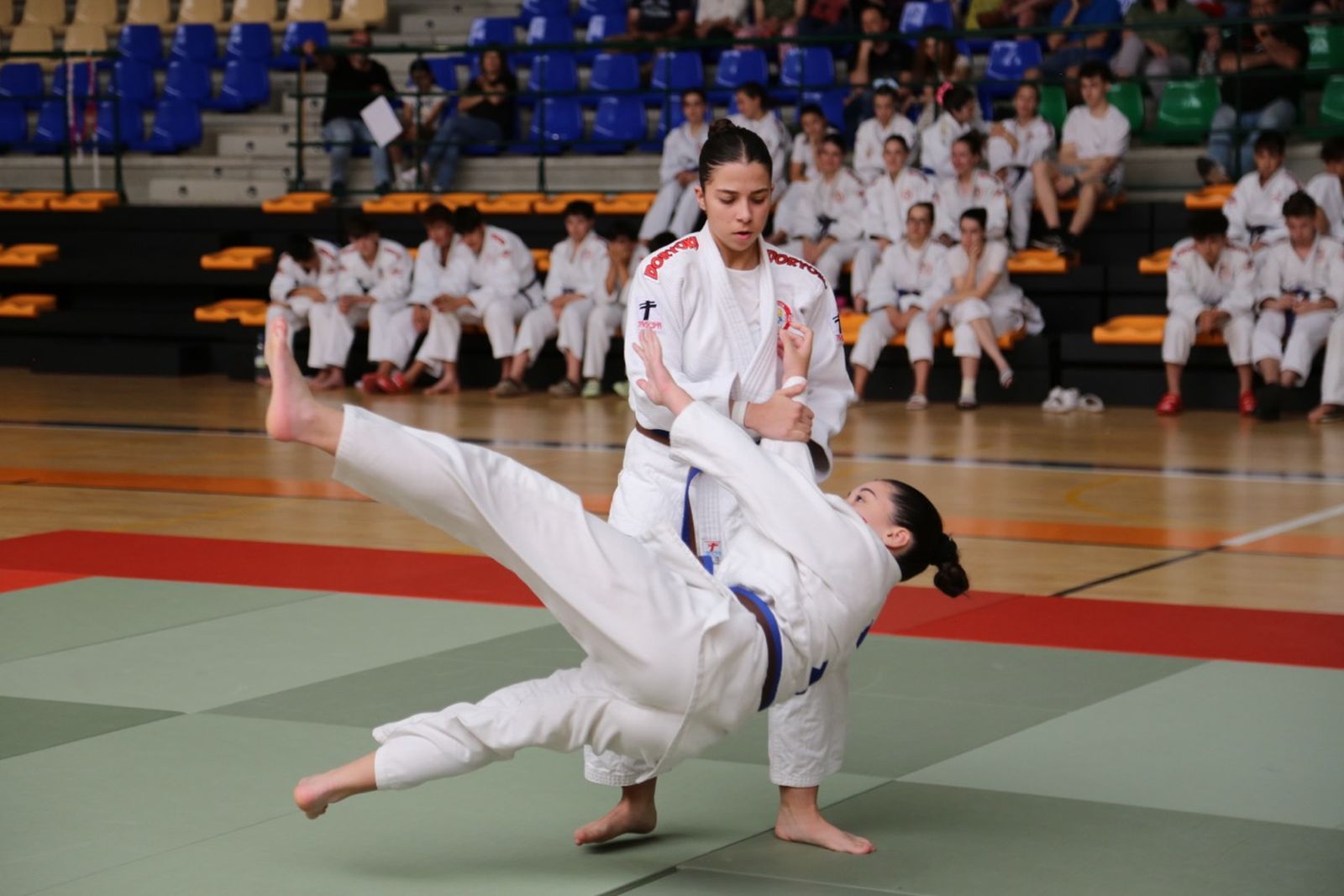 Campeonato de Castilla y León de Katas de Judo