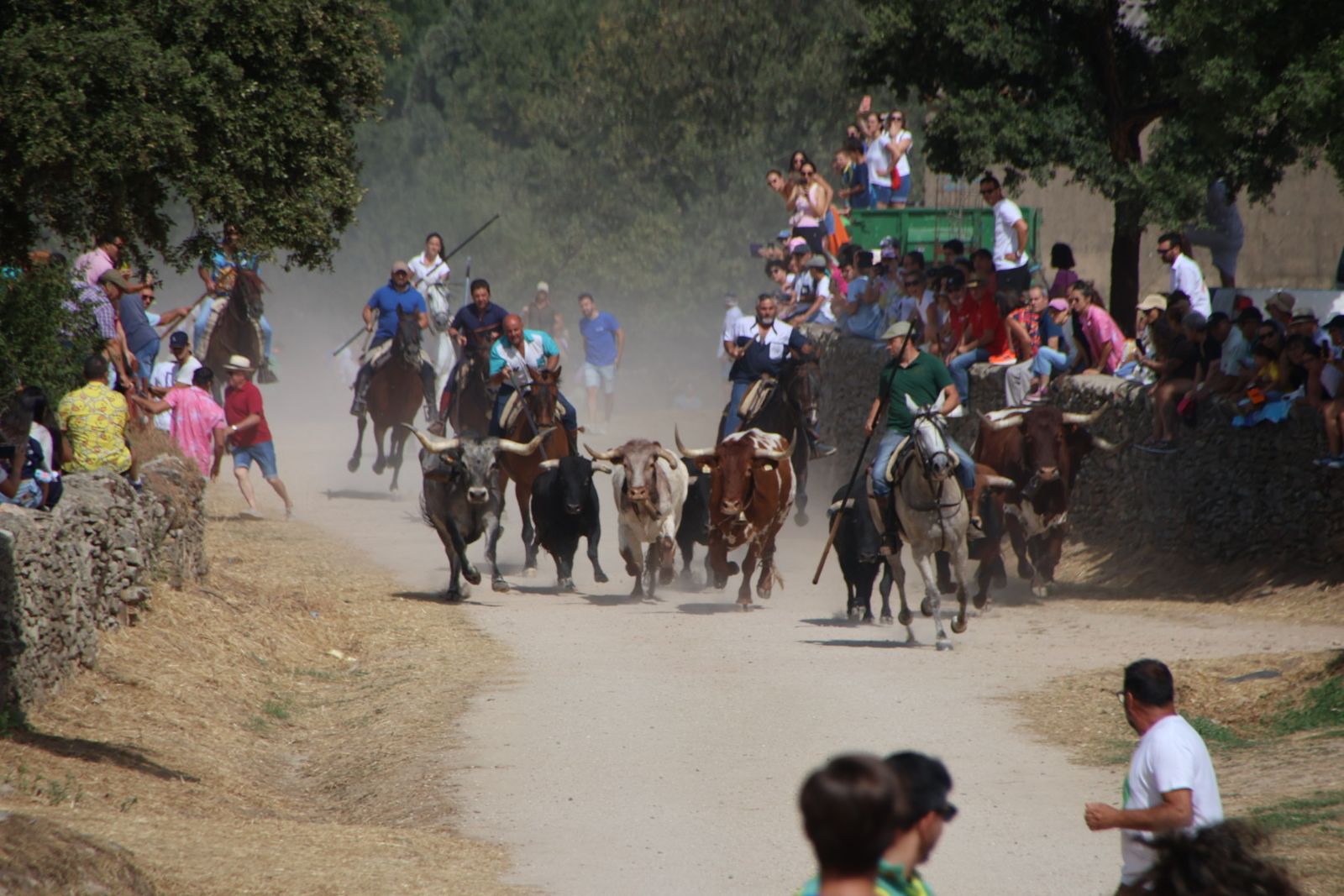 Lumbrales encierro a caballo, dia 2