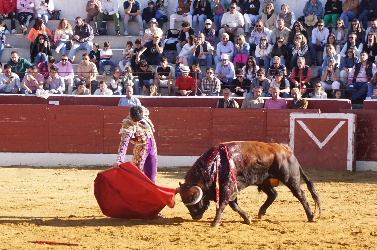 novillada-con-picadores-en-villoria-63