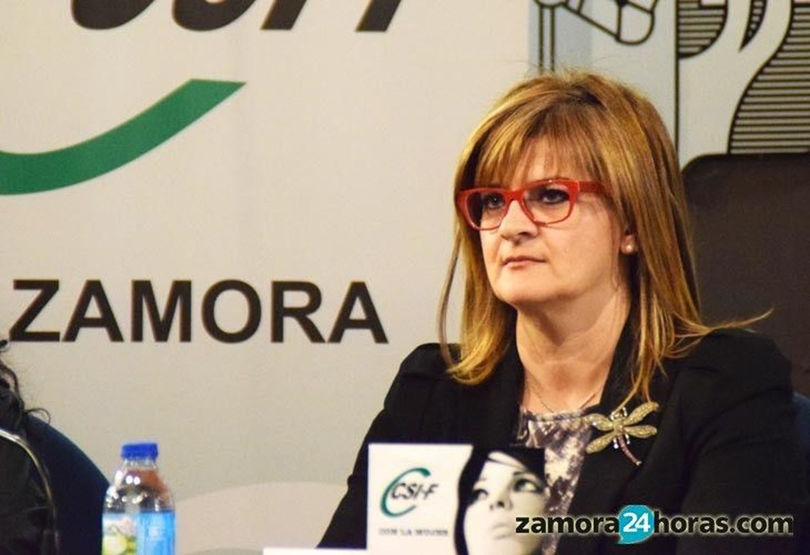 El Consejo Escolar recoge una docena de reivindicaciones de CSIF para mejorar la calidad educativa