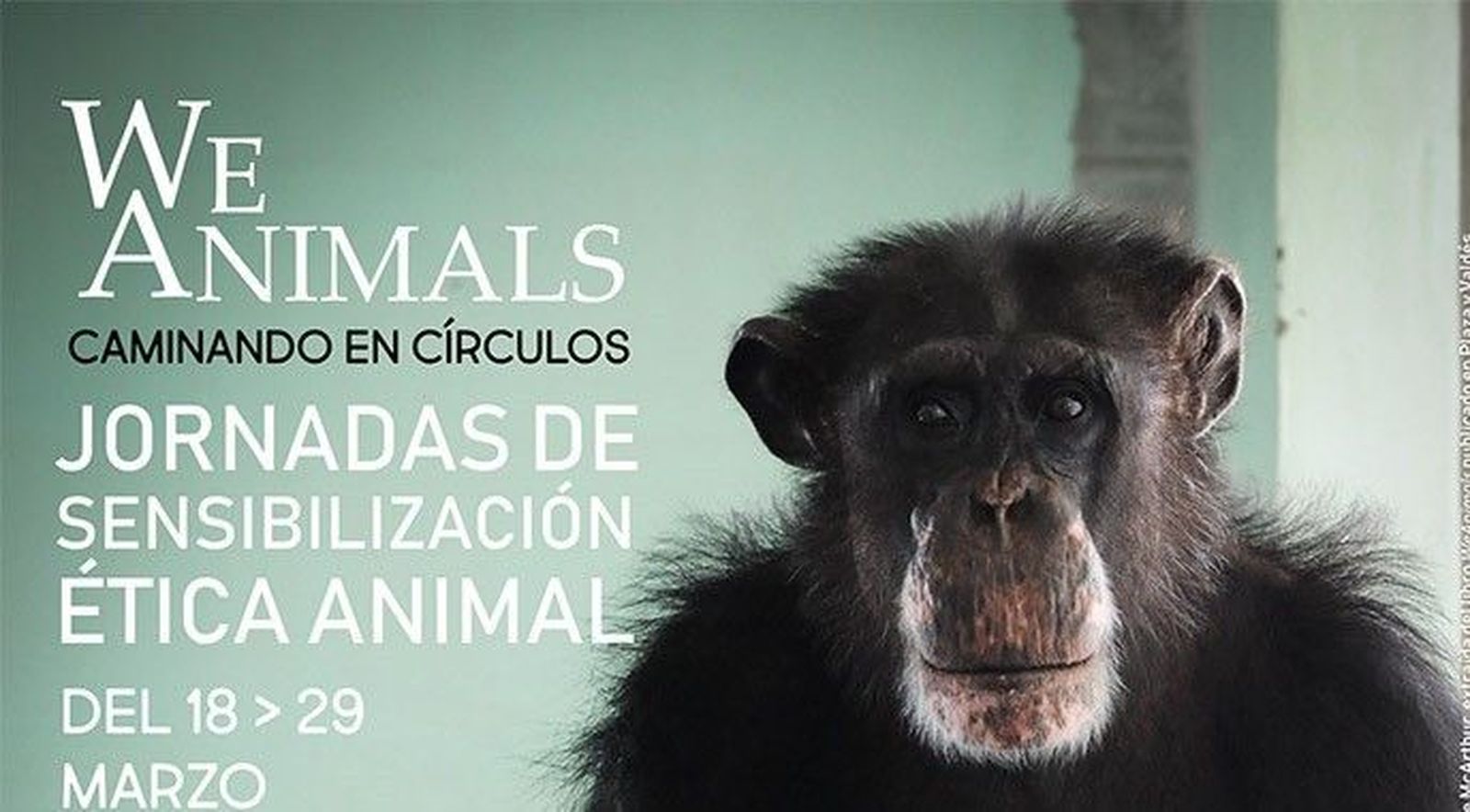 Cartel programa weanimals