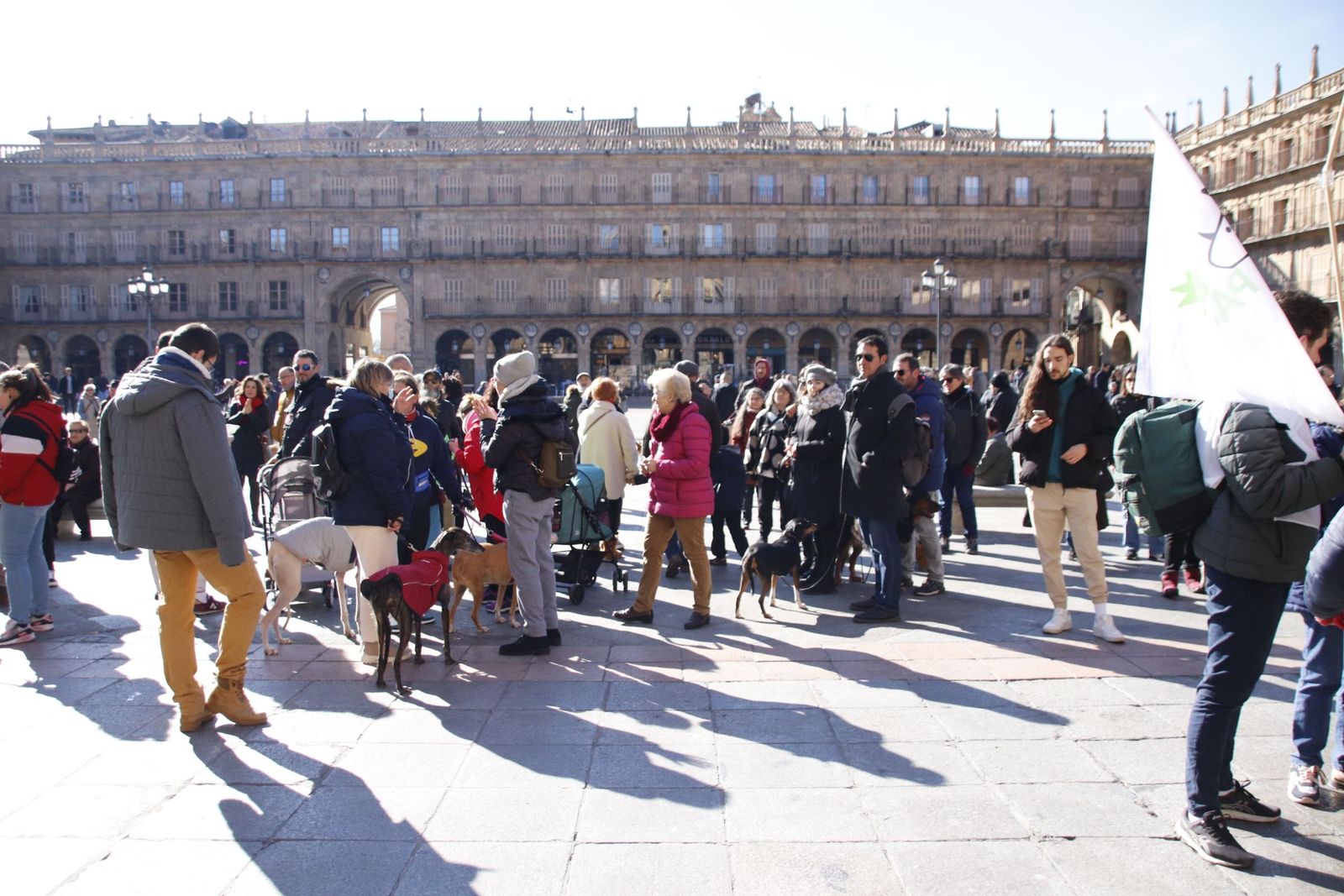 20230205121337-mg-5702