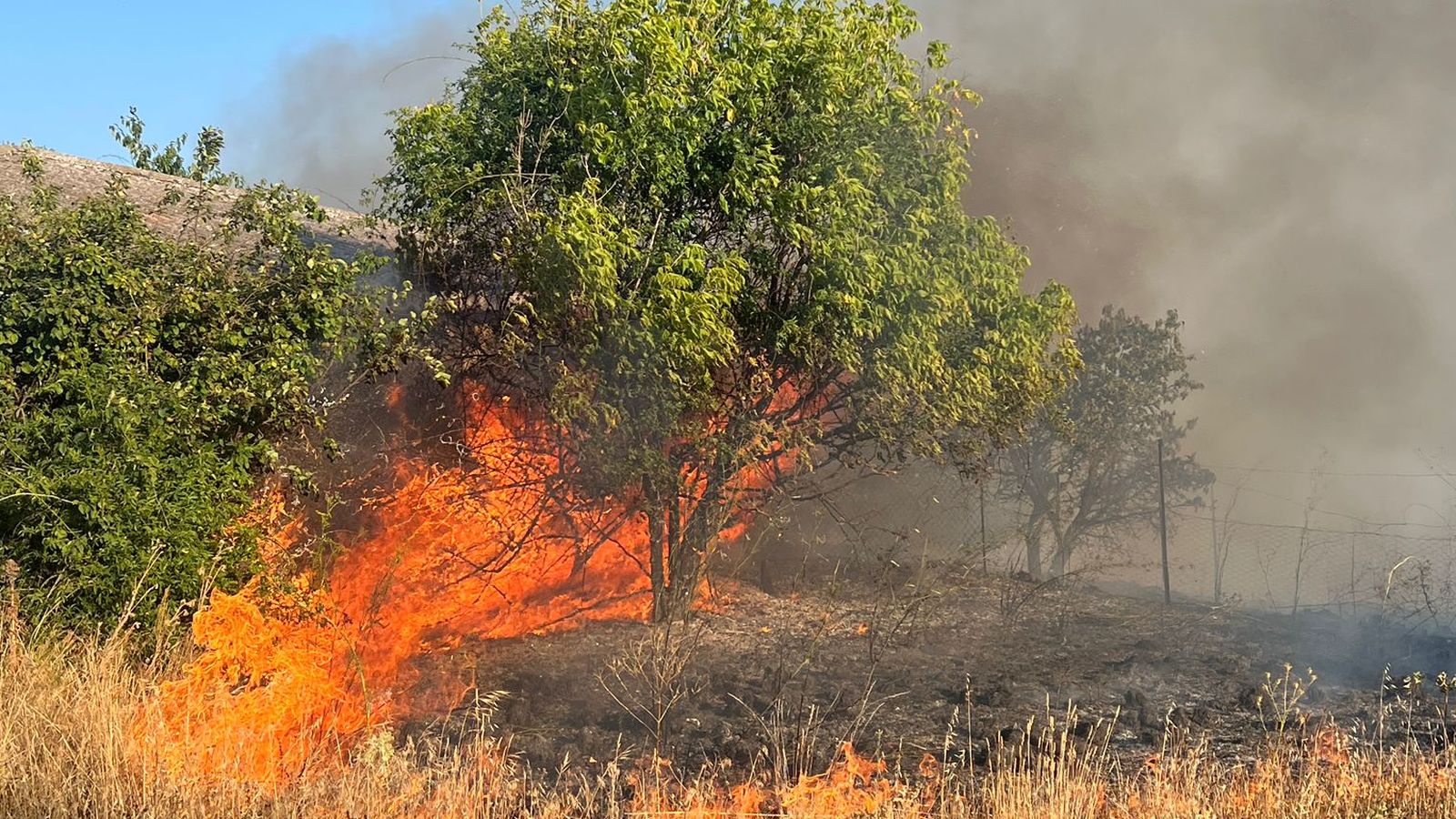 Incendio Santa Marta de Tera