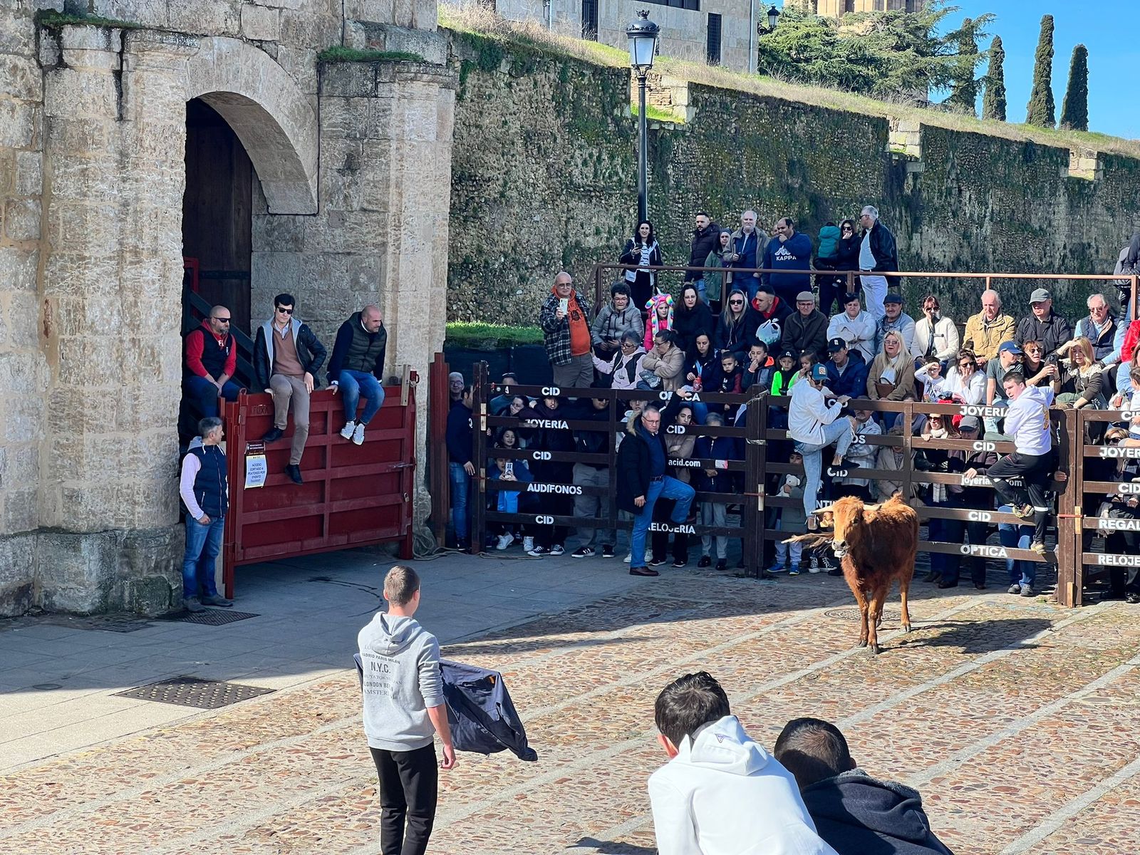 Domingo de piñata en Ciudad Rodrigo