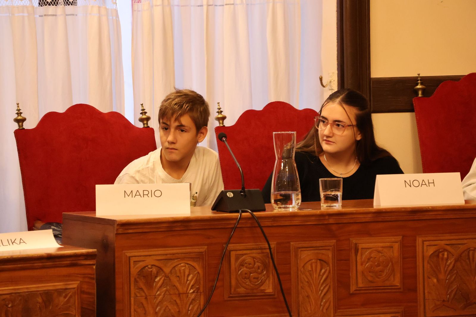 Pleno de la Infancia y la Adolescencia en el Ayuntamiento de Zamora (3).JPG