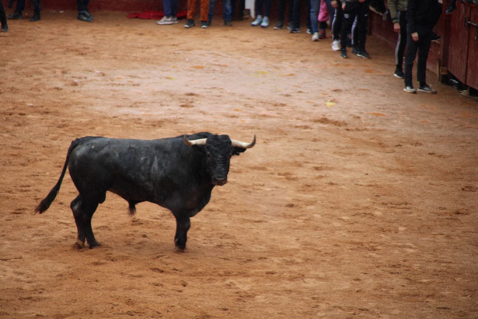 whatsapp-image-2025-03-03-at-12-46-29