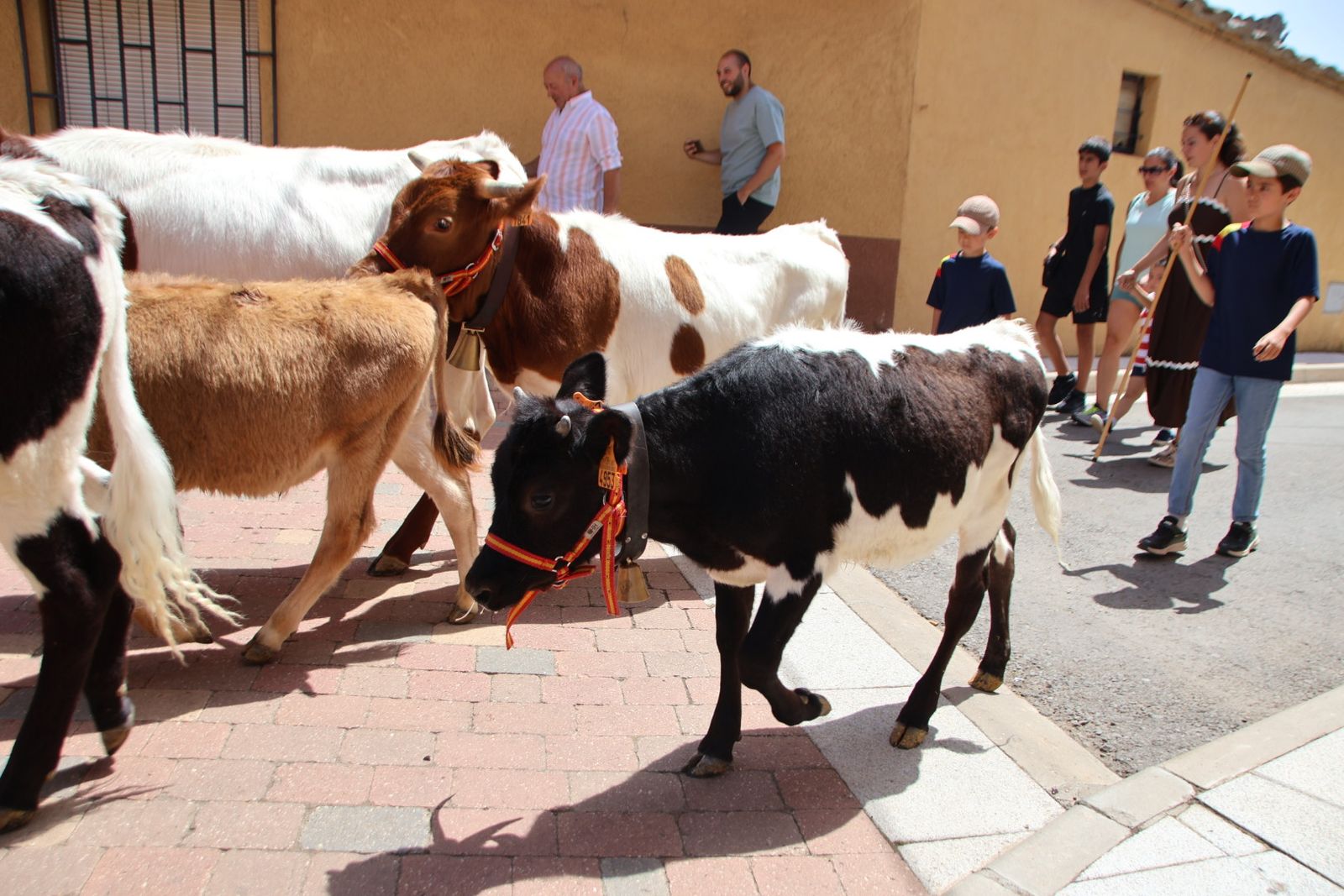 Castellanos de Villiquera, encierro infantil