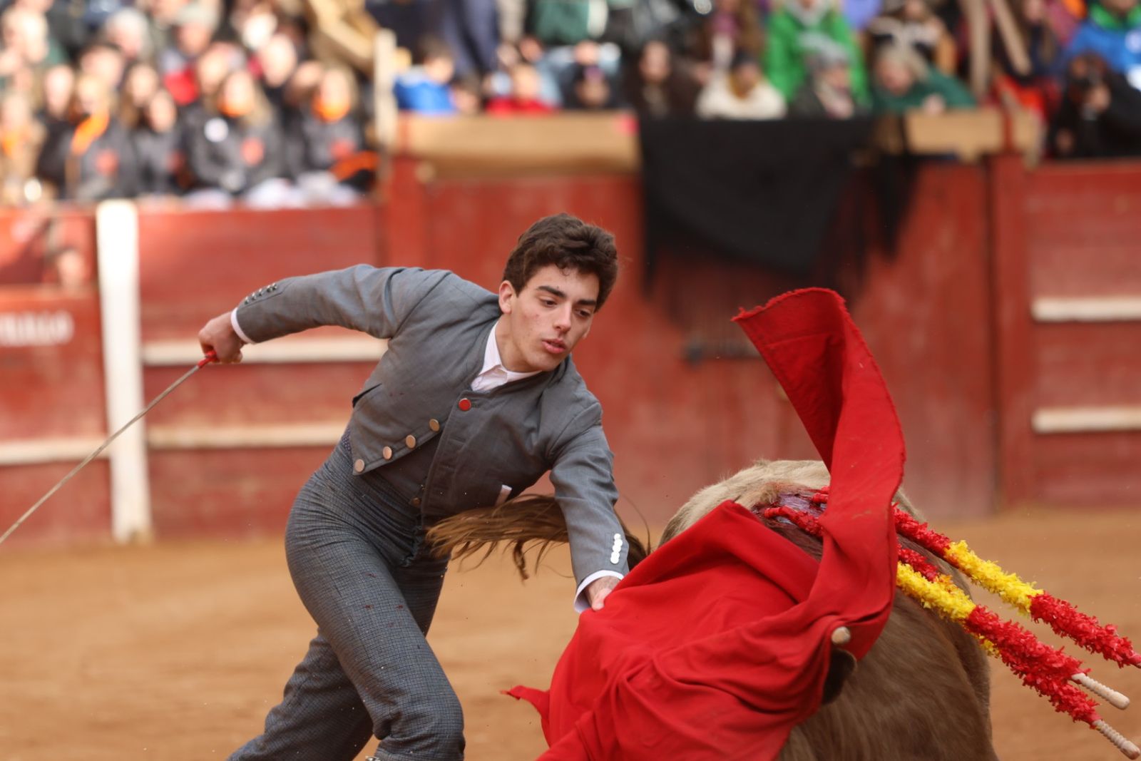 Novillada sin picadores del bolsín taurino y rejones en Ciudad Rodrigo